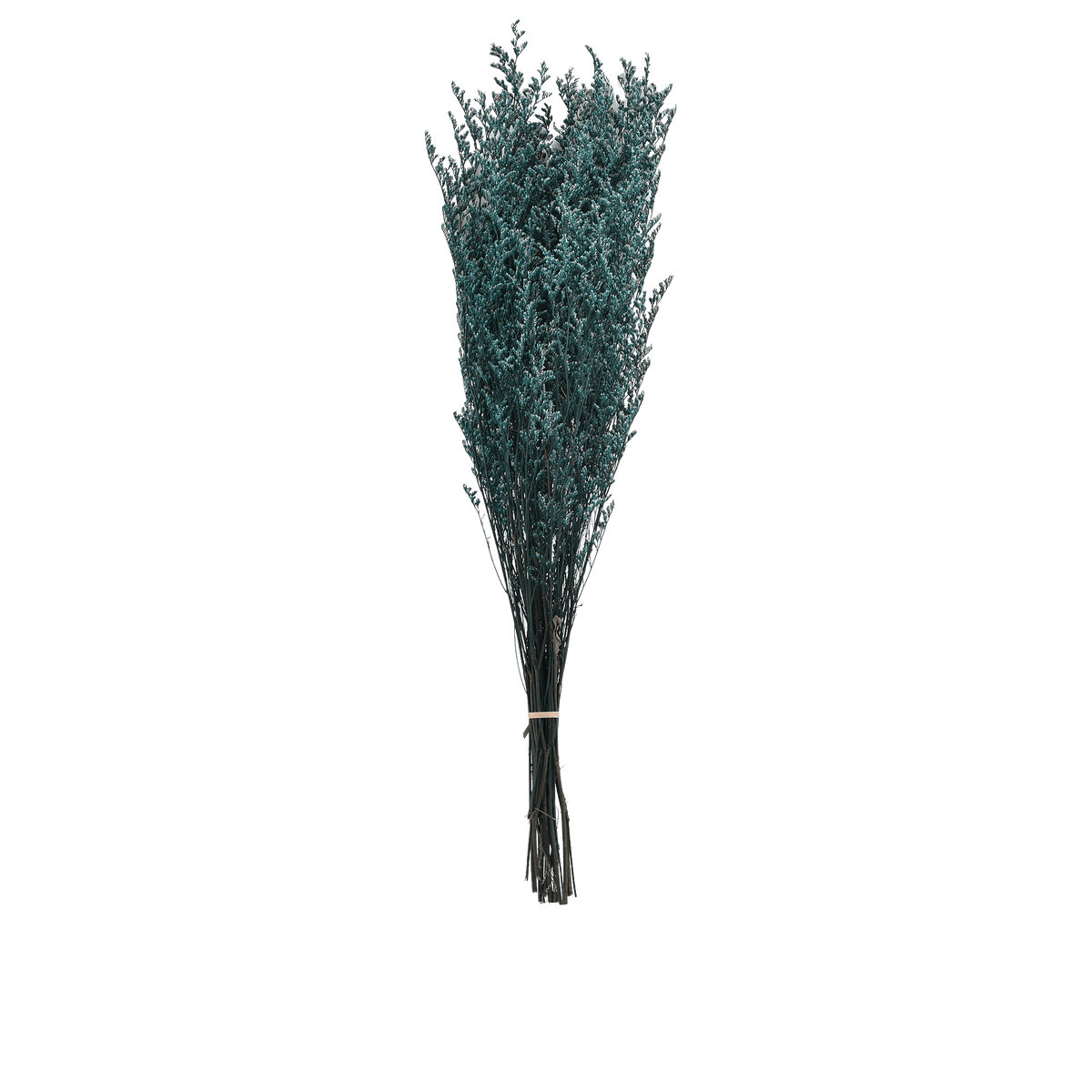 RI009555_c3b010e5-2397-41e3-8b51-a4b4eaec6cd7