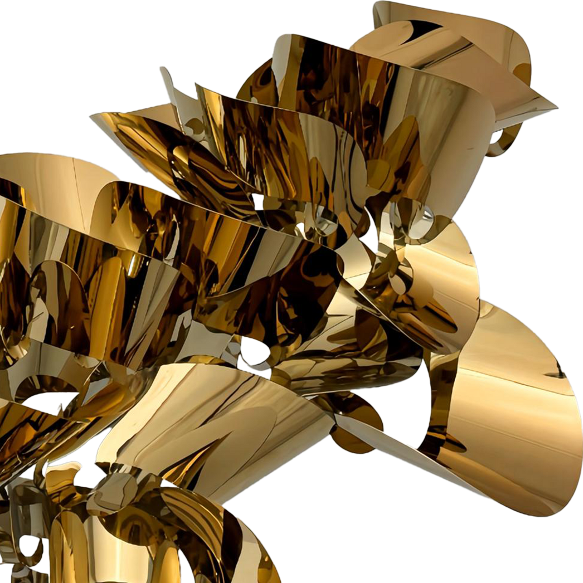 RI009702_3