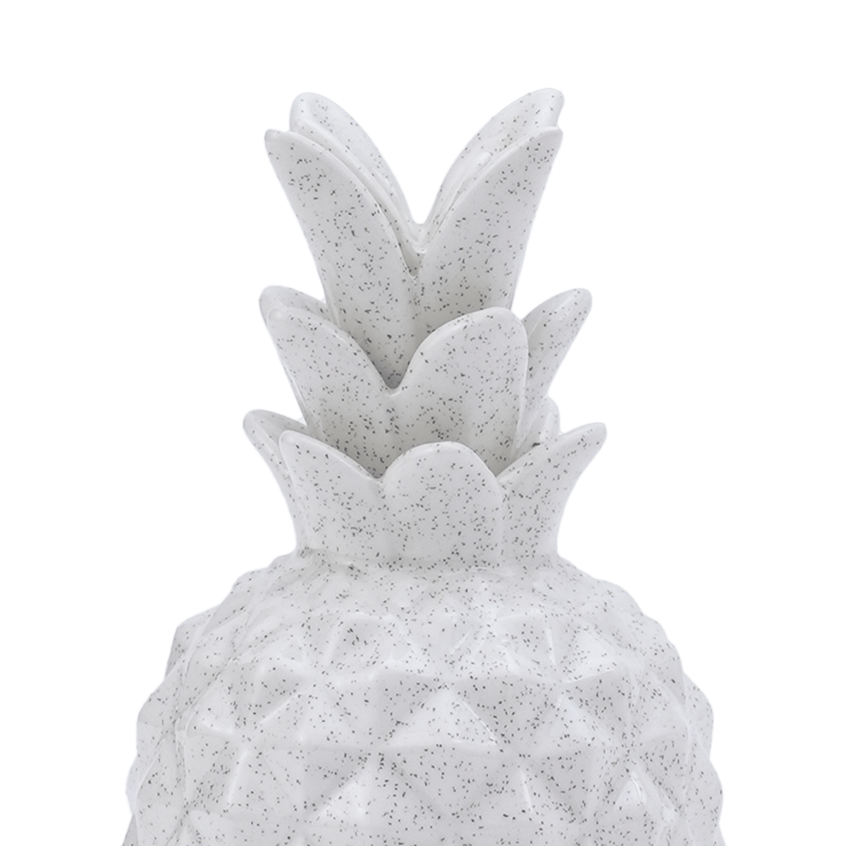 RI009972_1