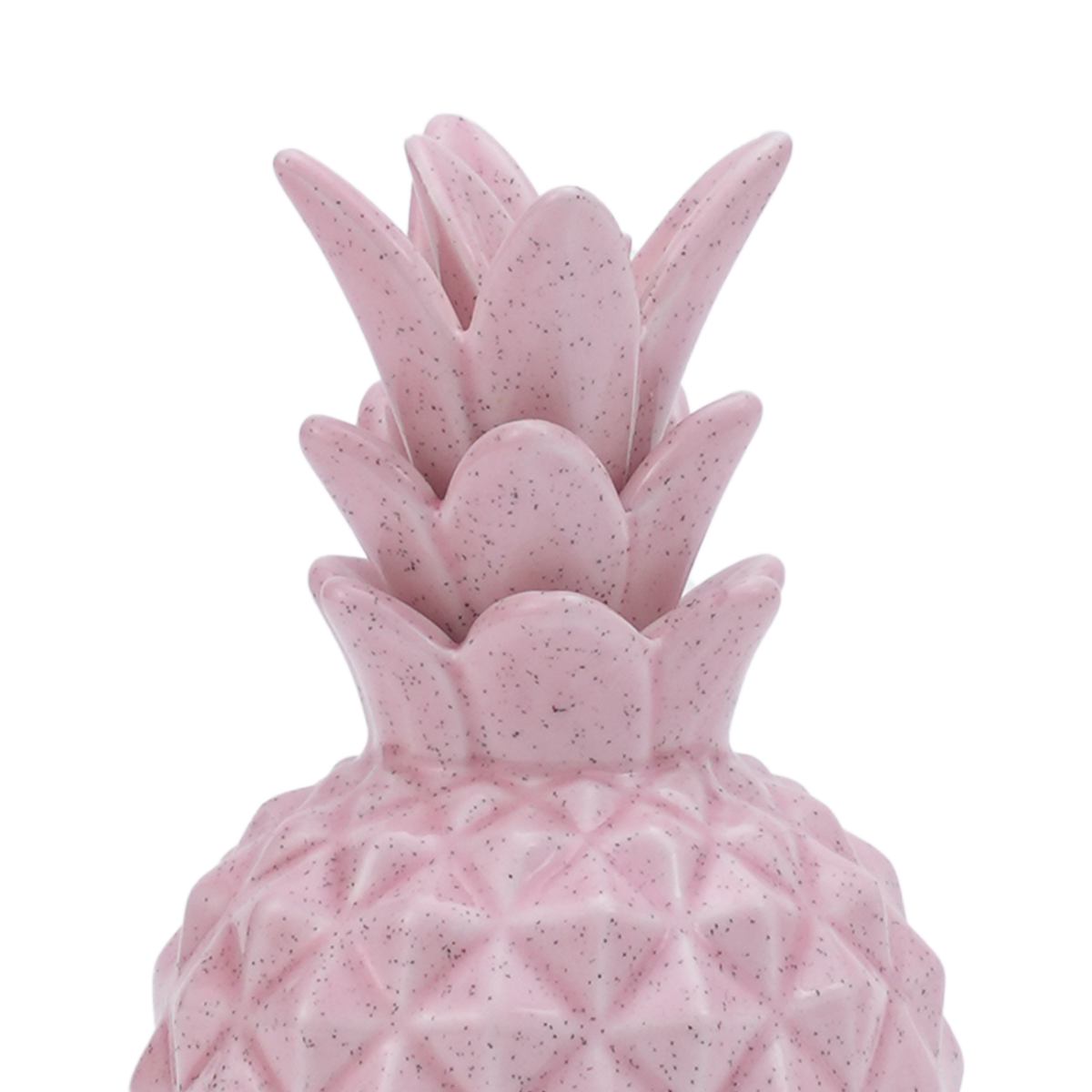 RI009973_1