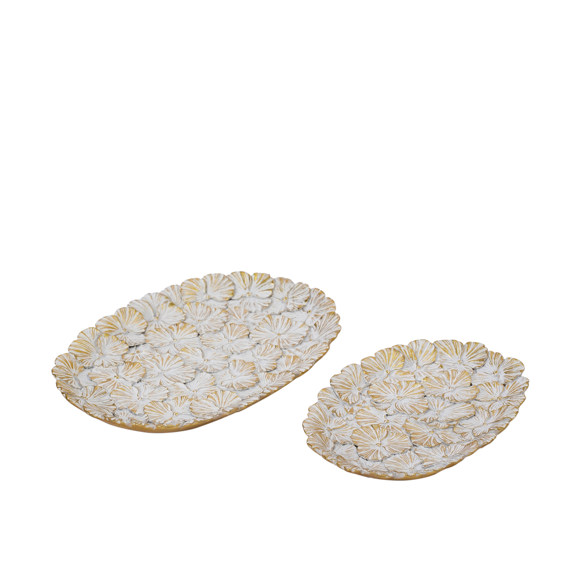 RI010154_2