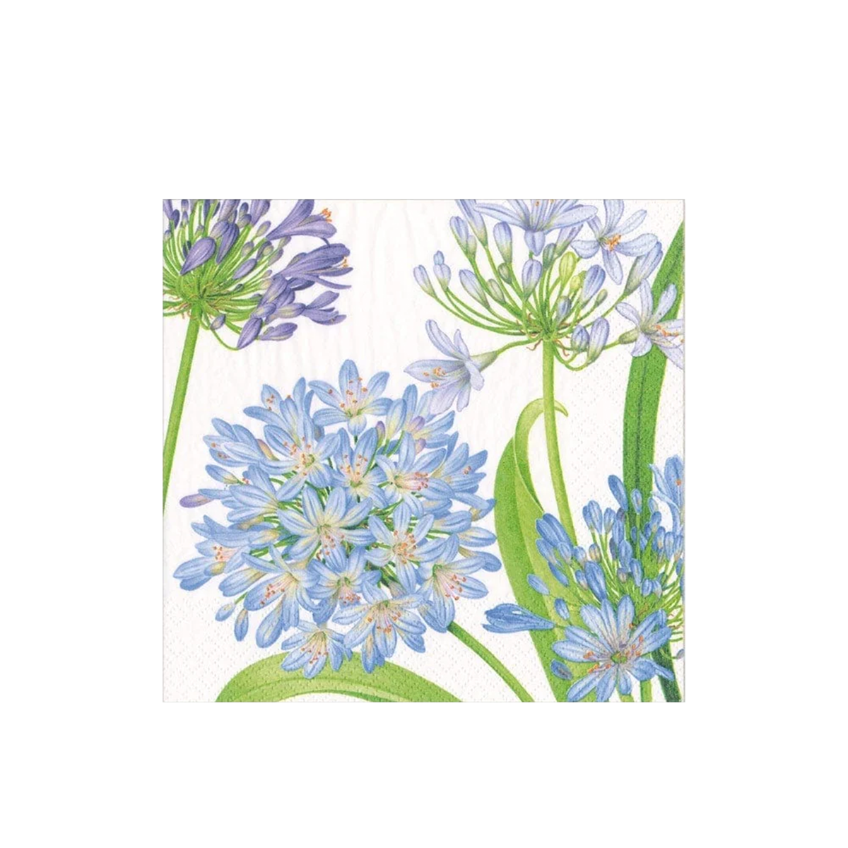 Agapanthus Garden Paper Napkins