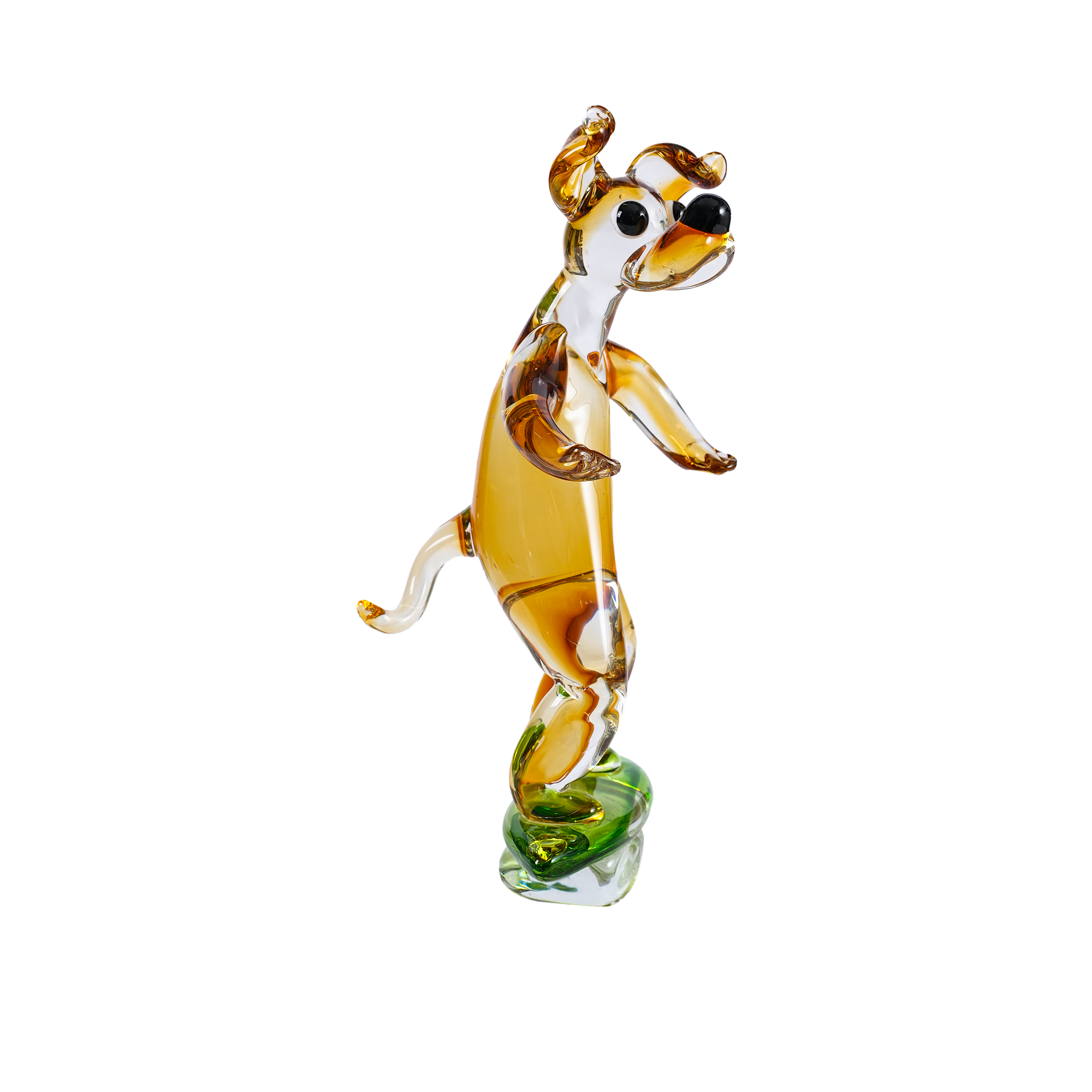 Harlequin Dog Amber