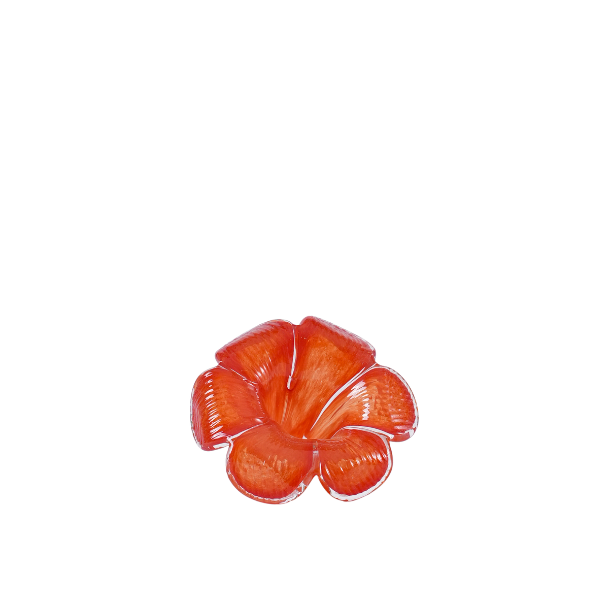 RI011253_1