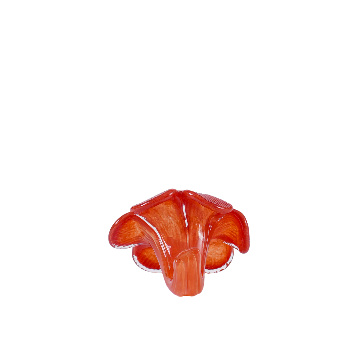 RI011253_2