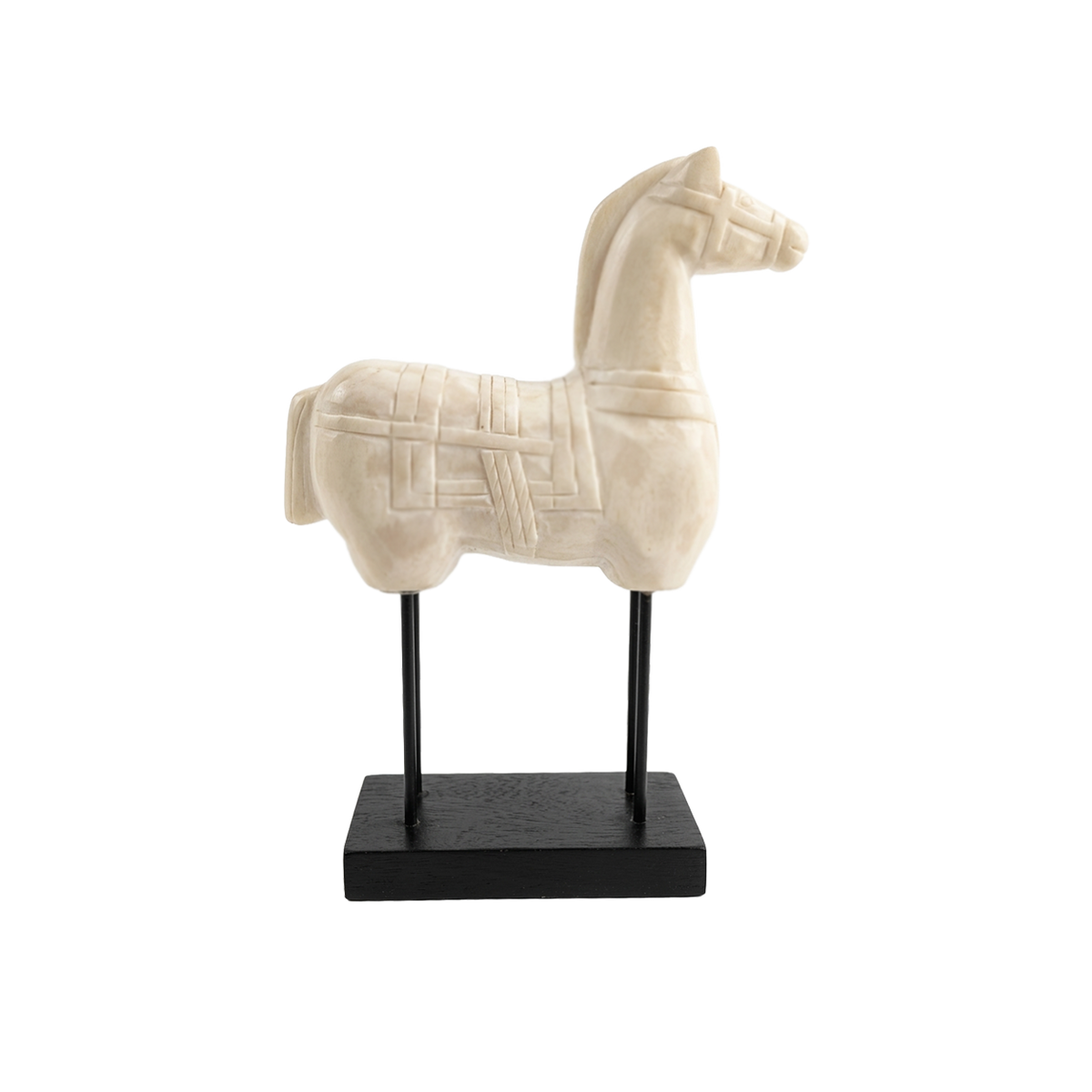Caballo Horse