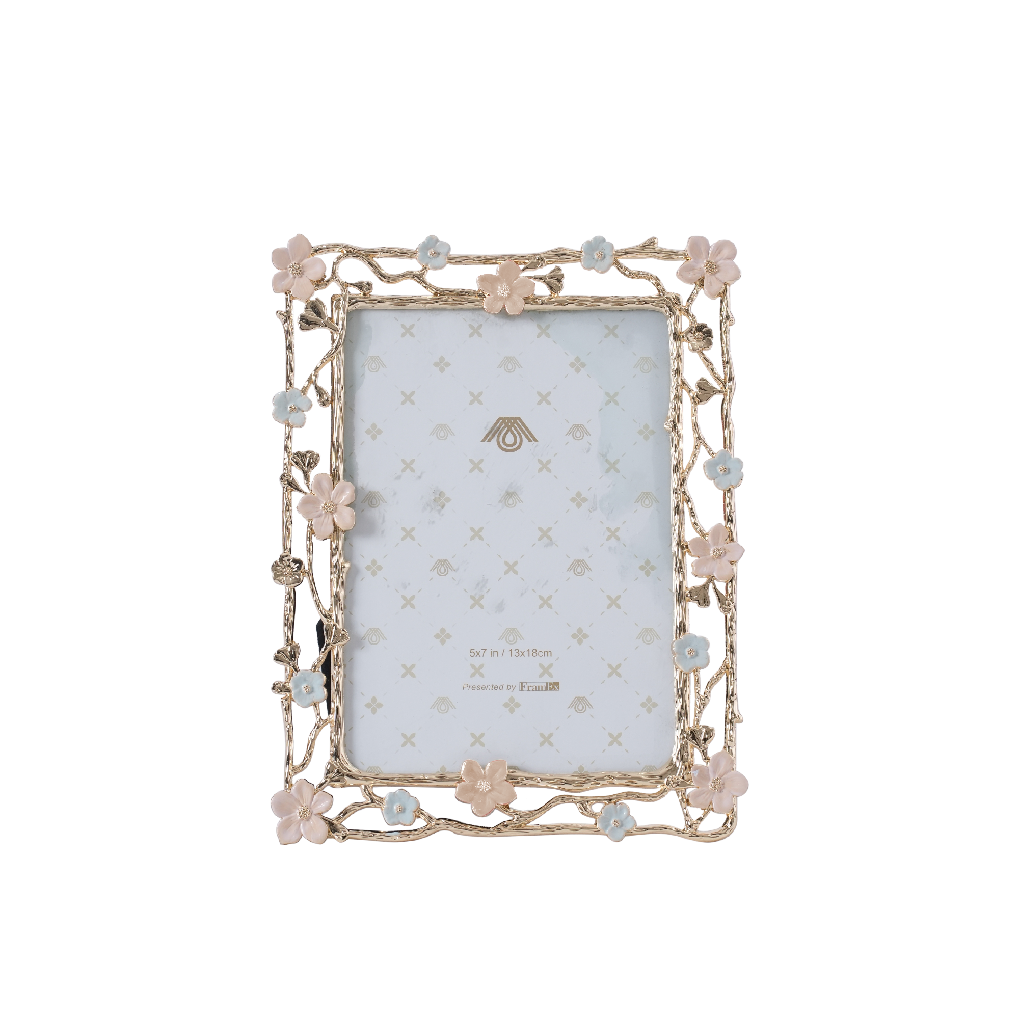 Nuvue Picture Frame