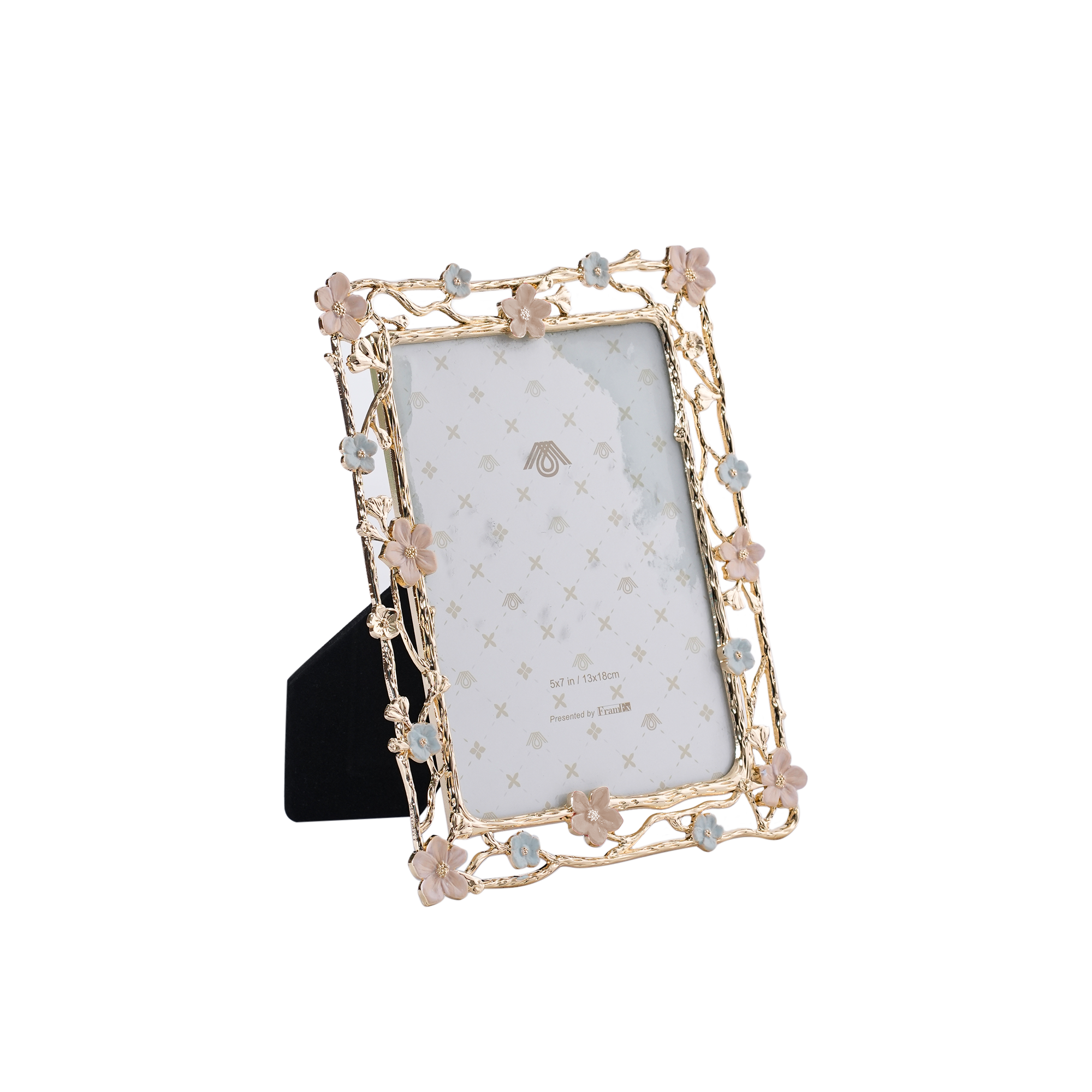 Nuvue Picture Frame