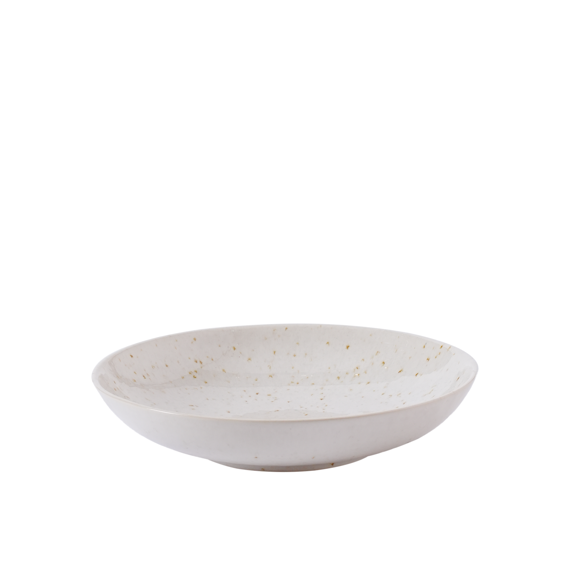 Sandstorm Pasta Plate