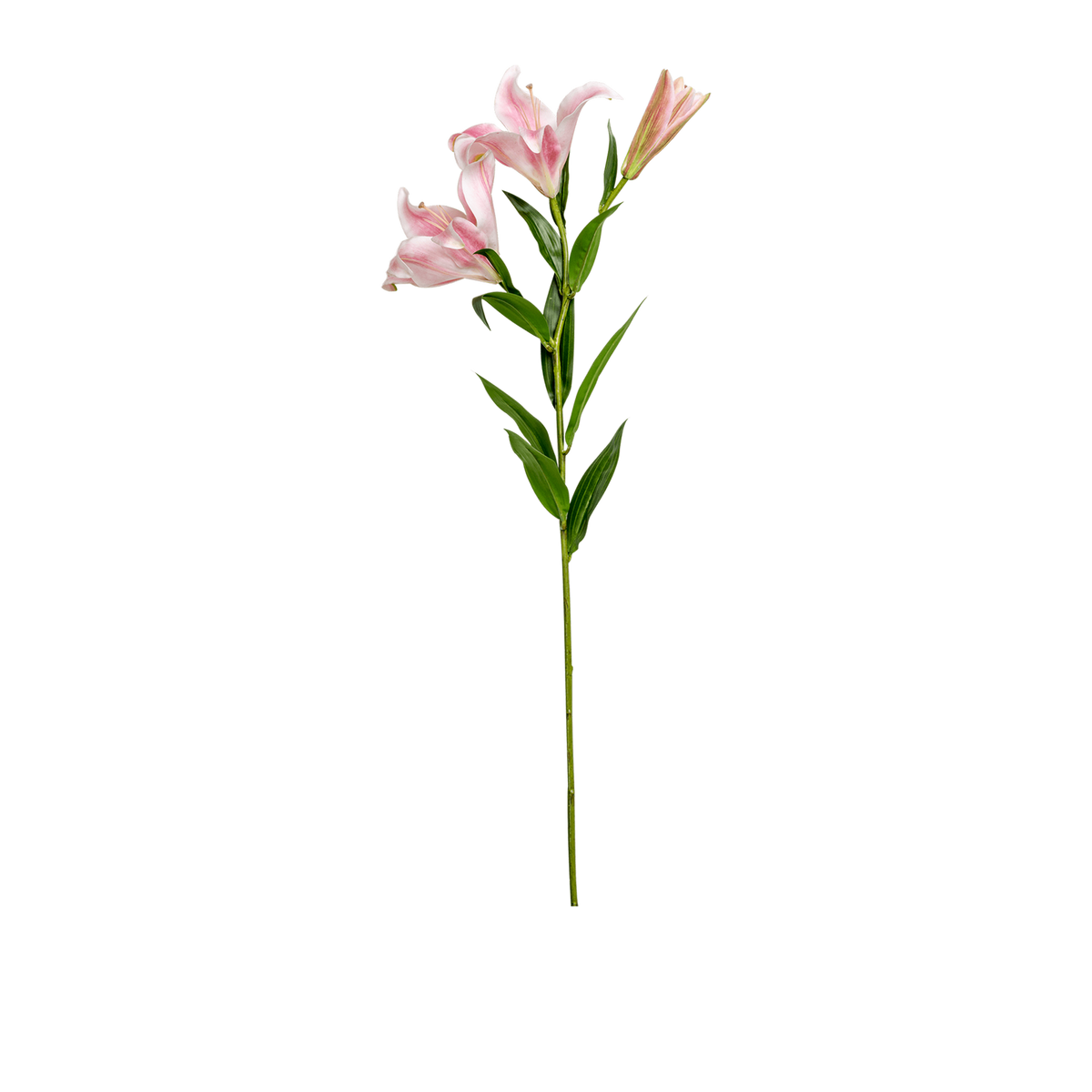 Lily Spray