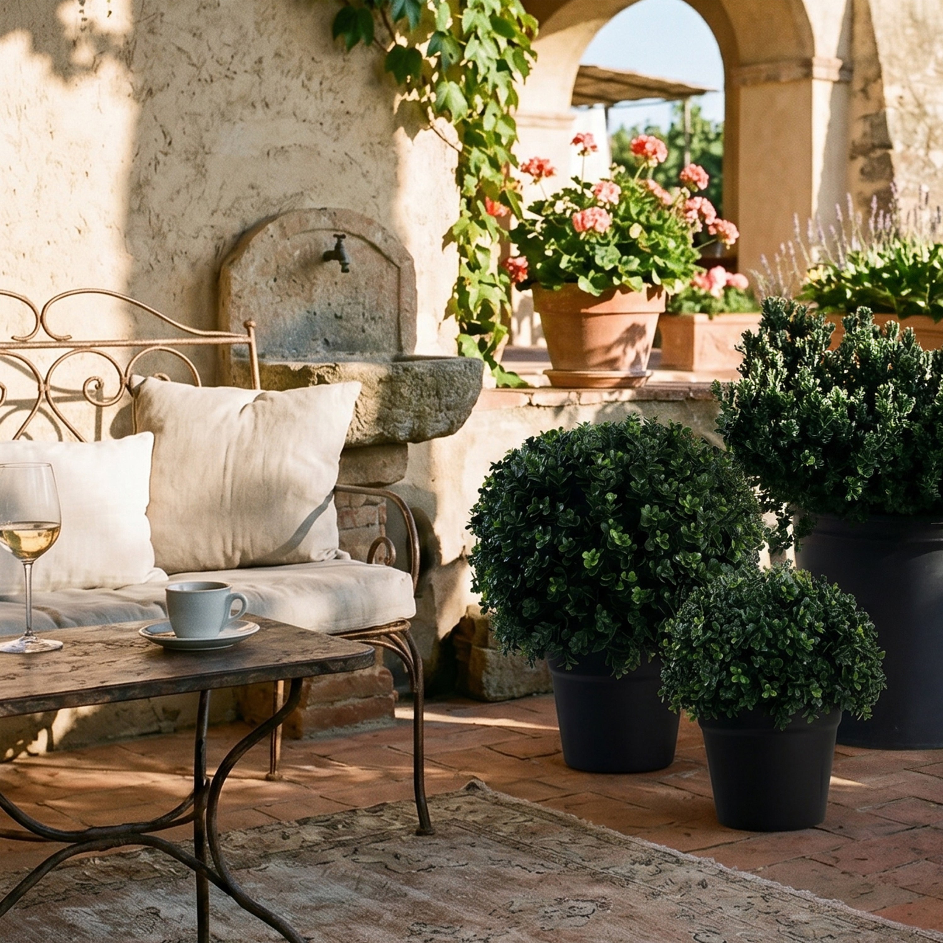 Florica Ivy Leaf Potted Plant