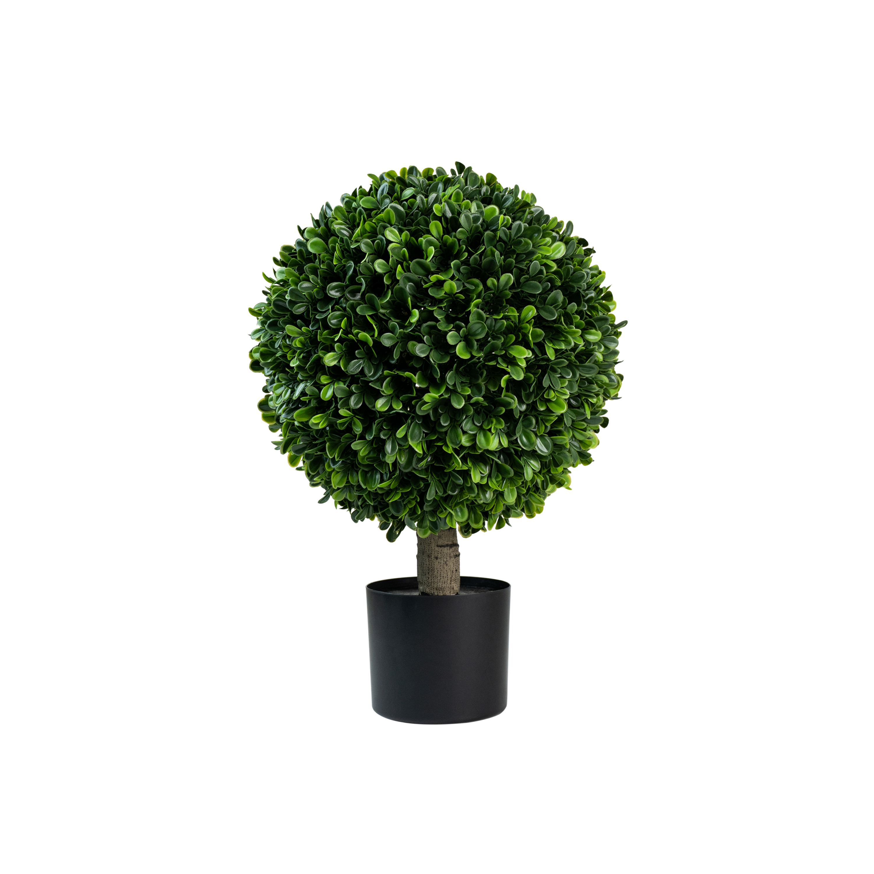 Luniva Peanut Leaf Potted Plant