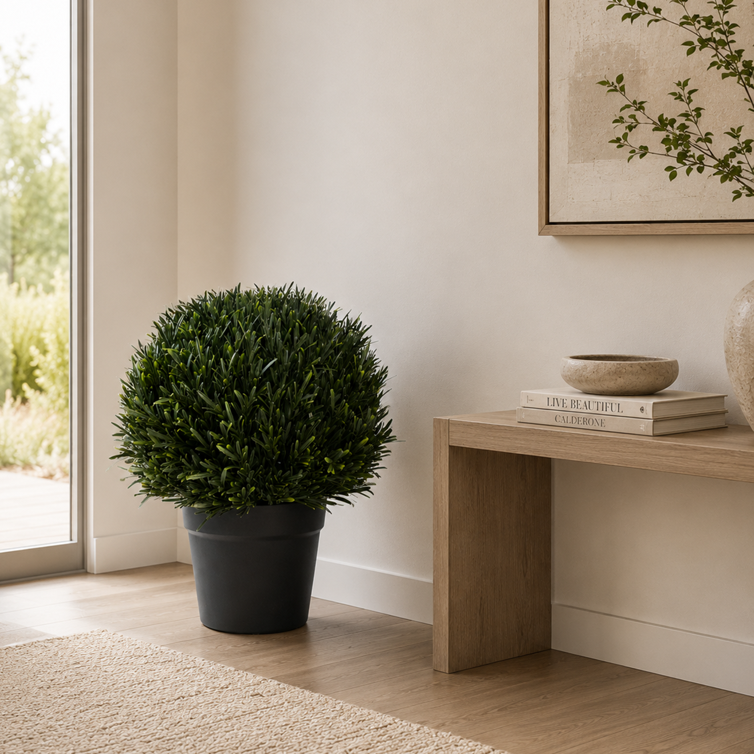 Orrila Rosemary Potted Plant