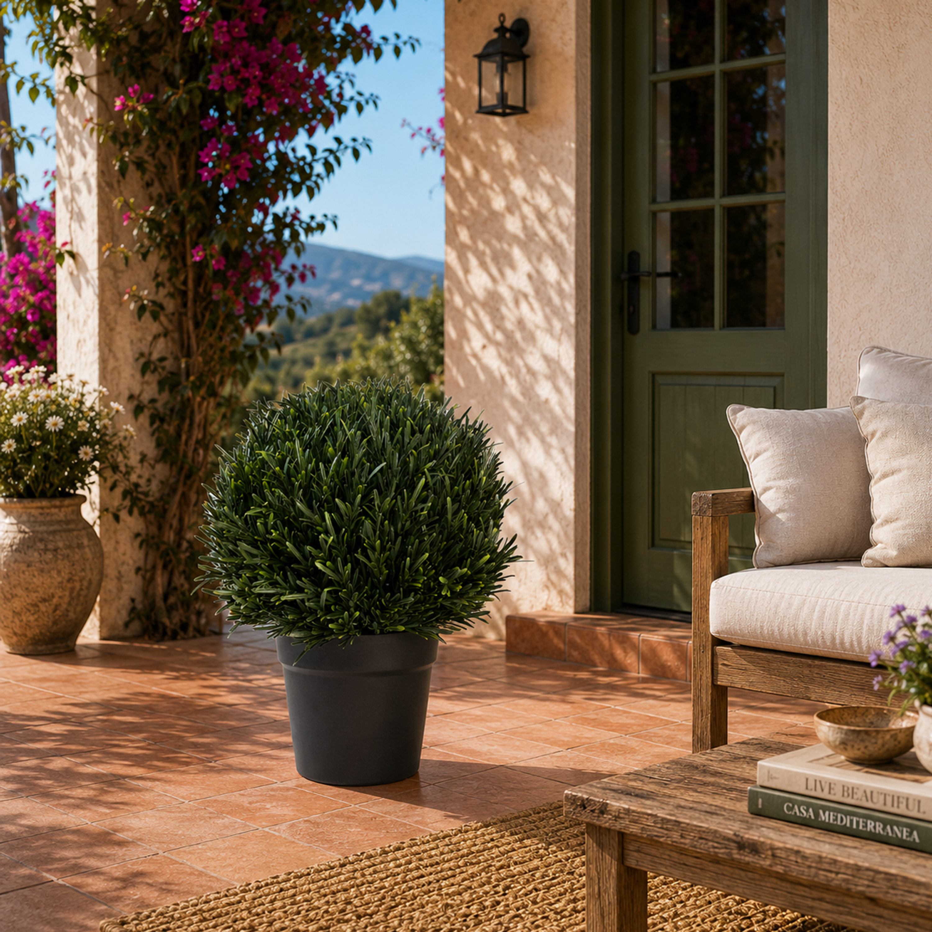 Orrila Rosemary Potted Plant