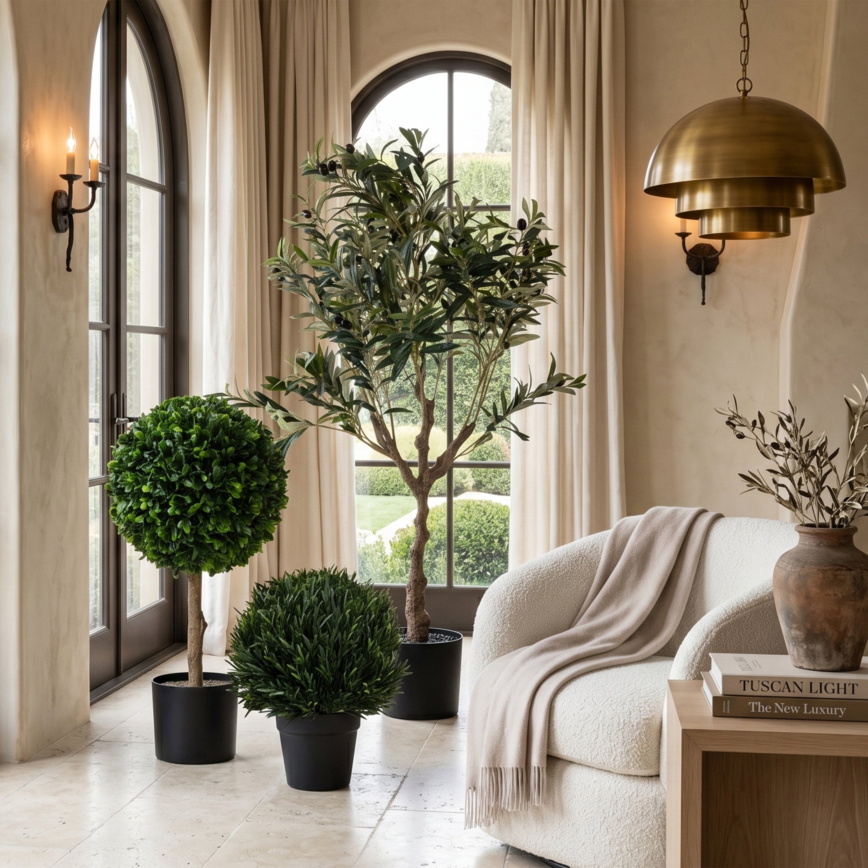 Orrila Rosemary Potted Plant