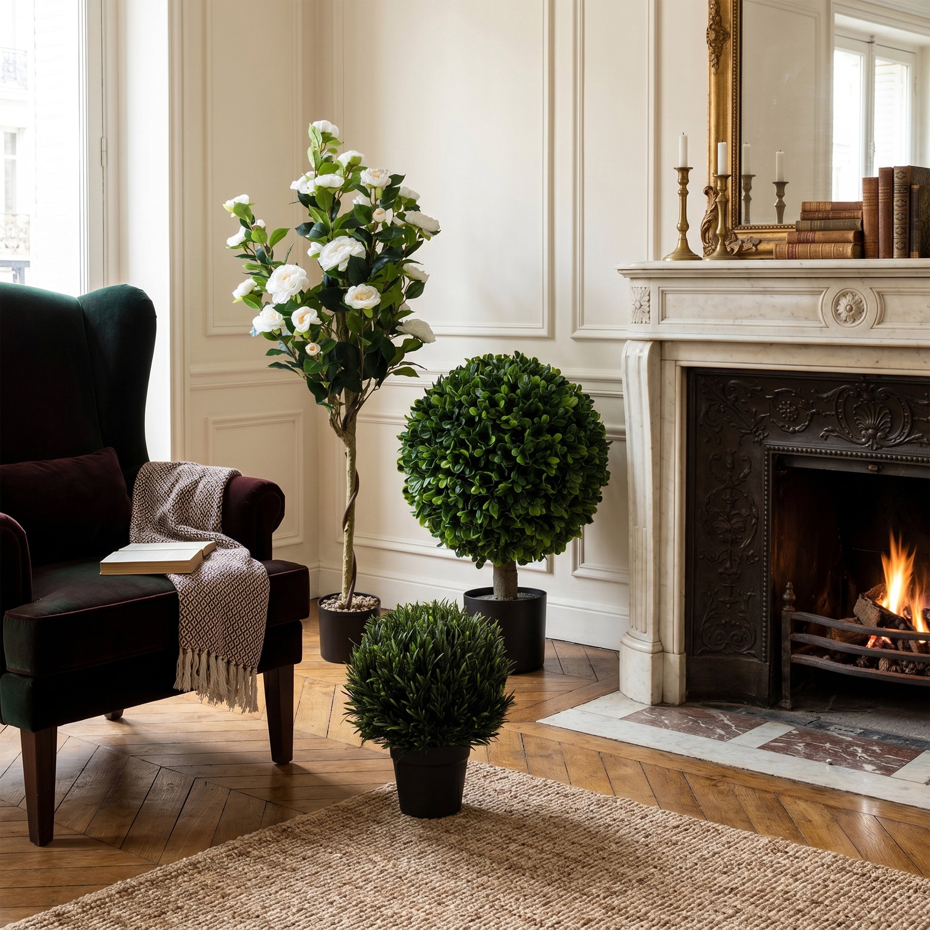 Khlora Camellia Potted Plant