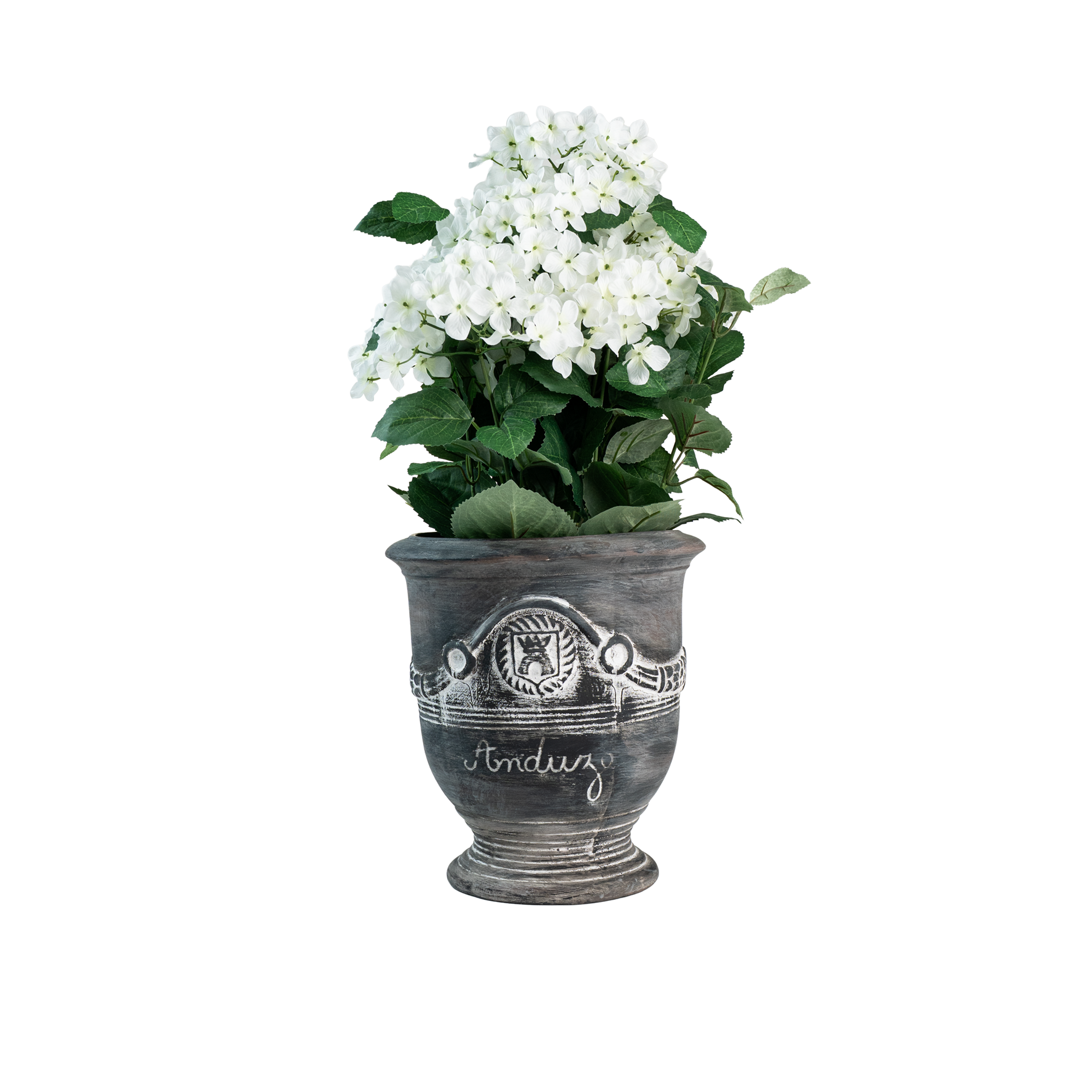 Naterra Hydrengea Potted Plant