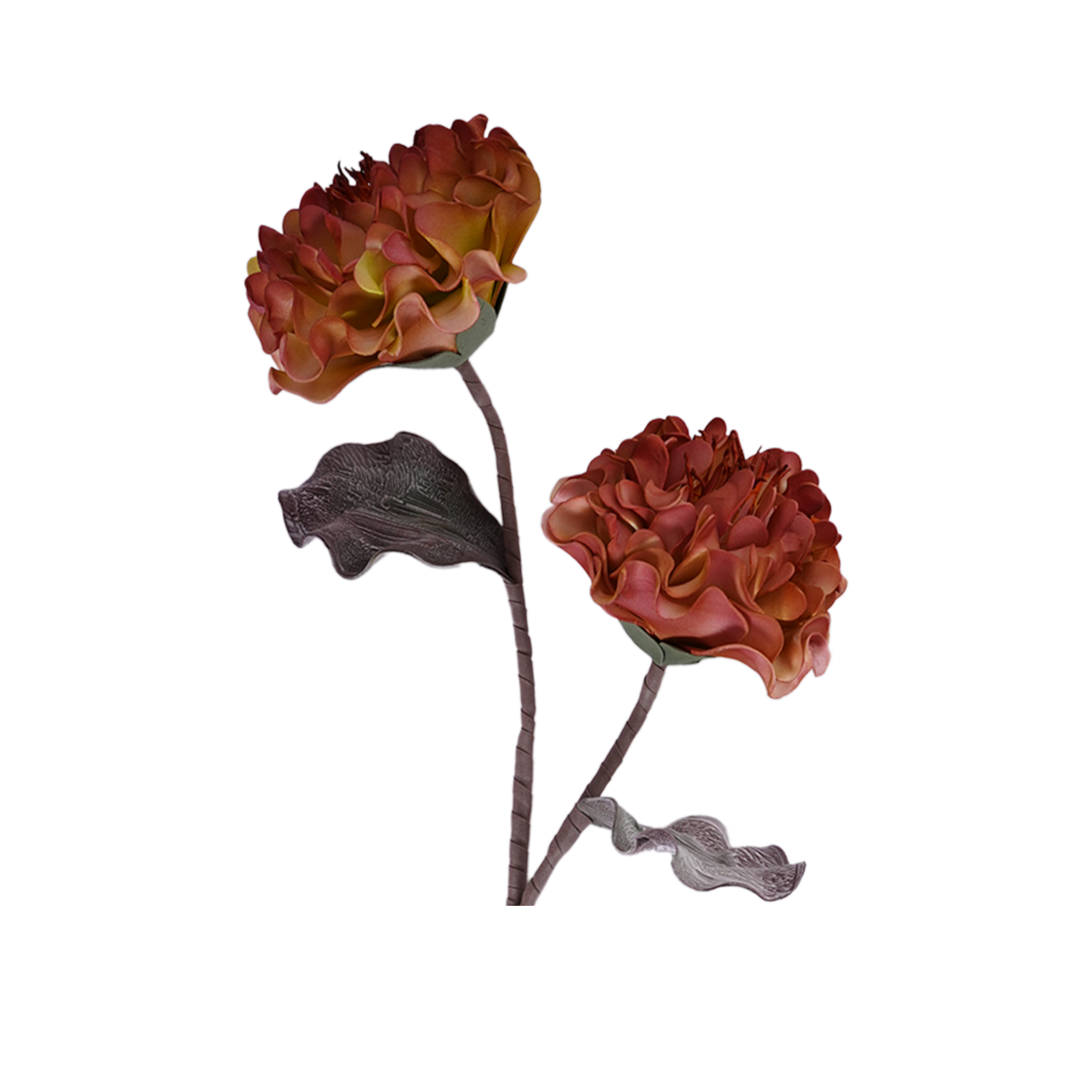 RI013603_1