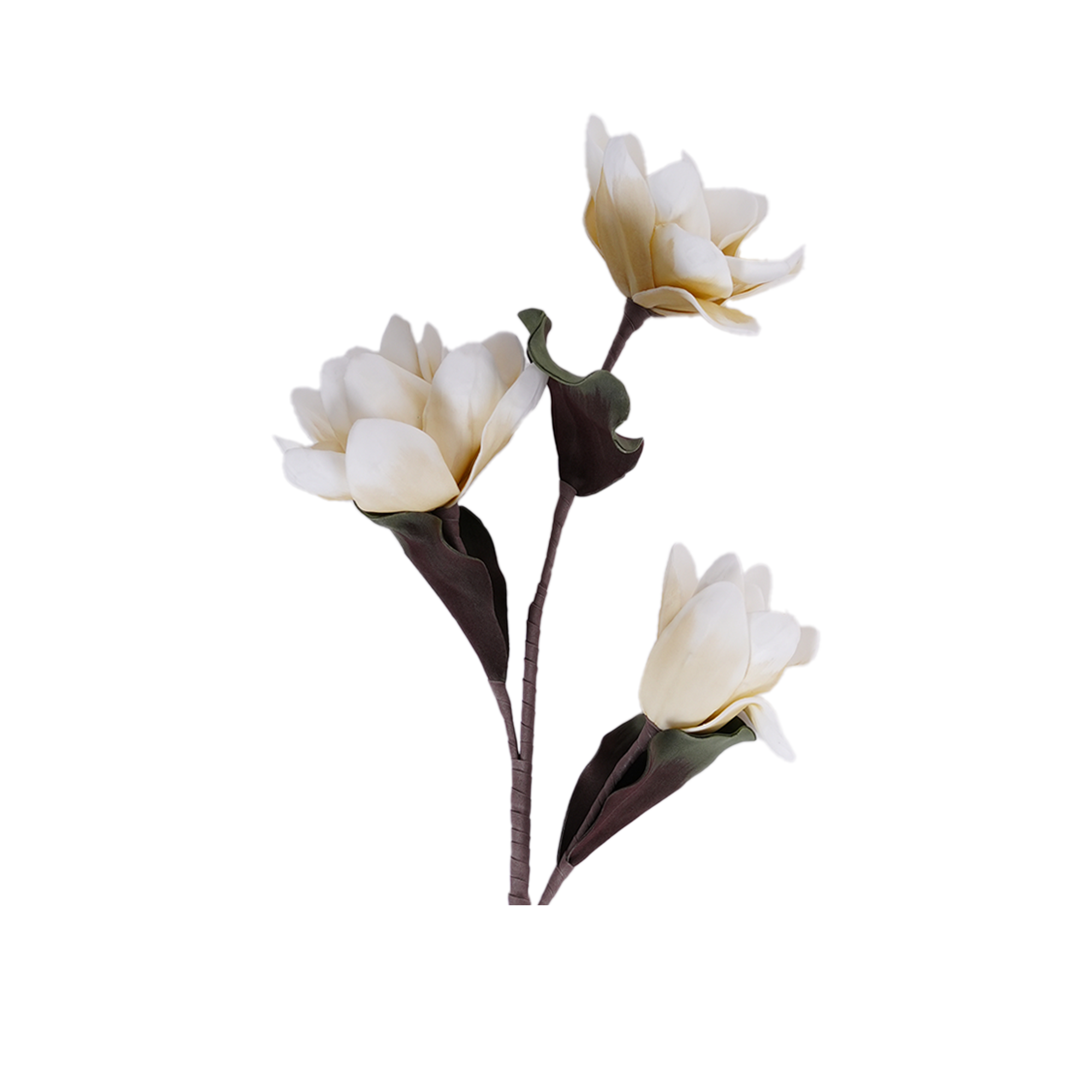 RI013604_1