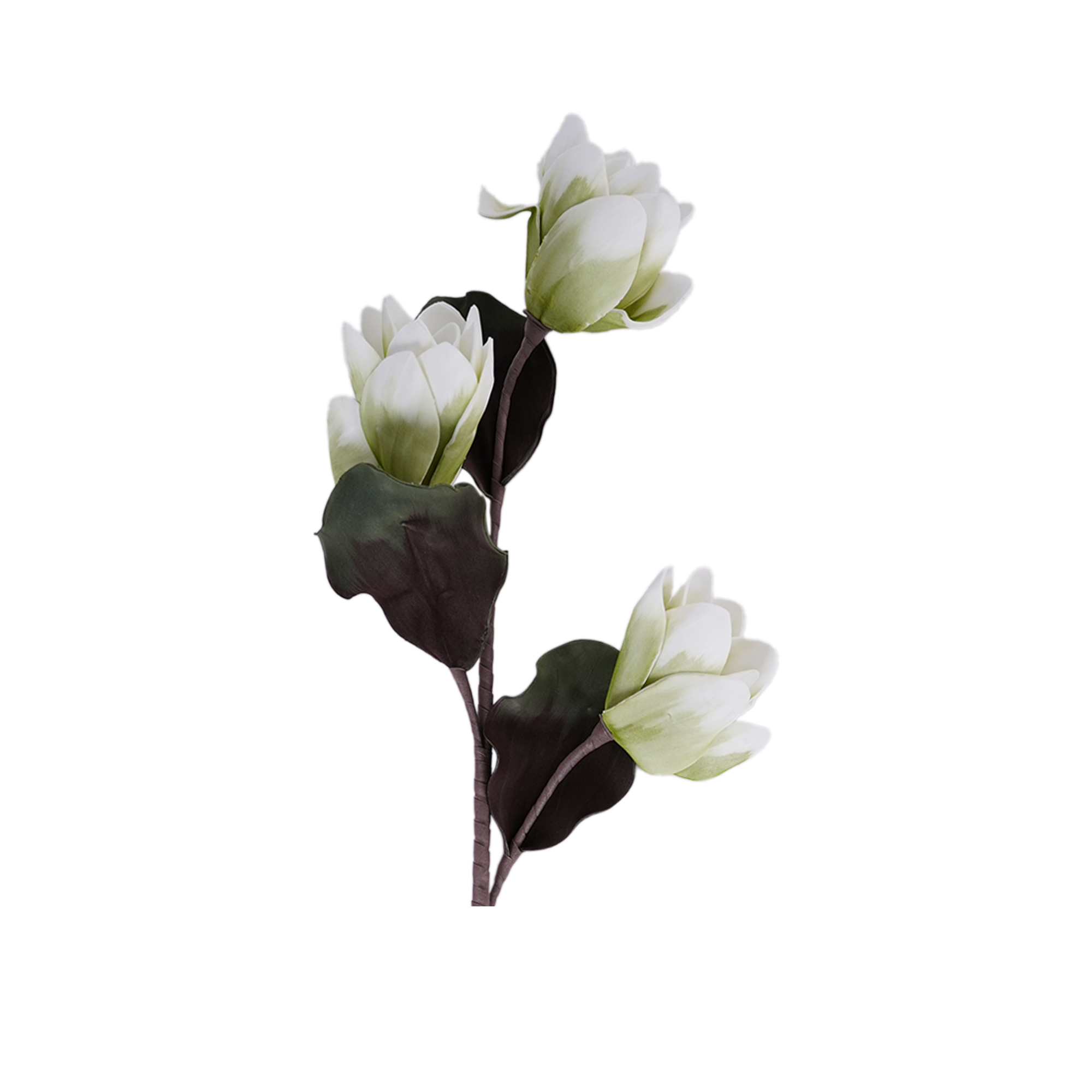 RI013606_1