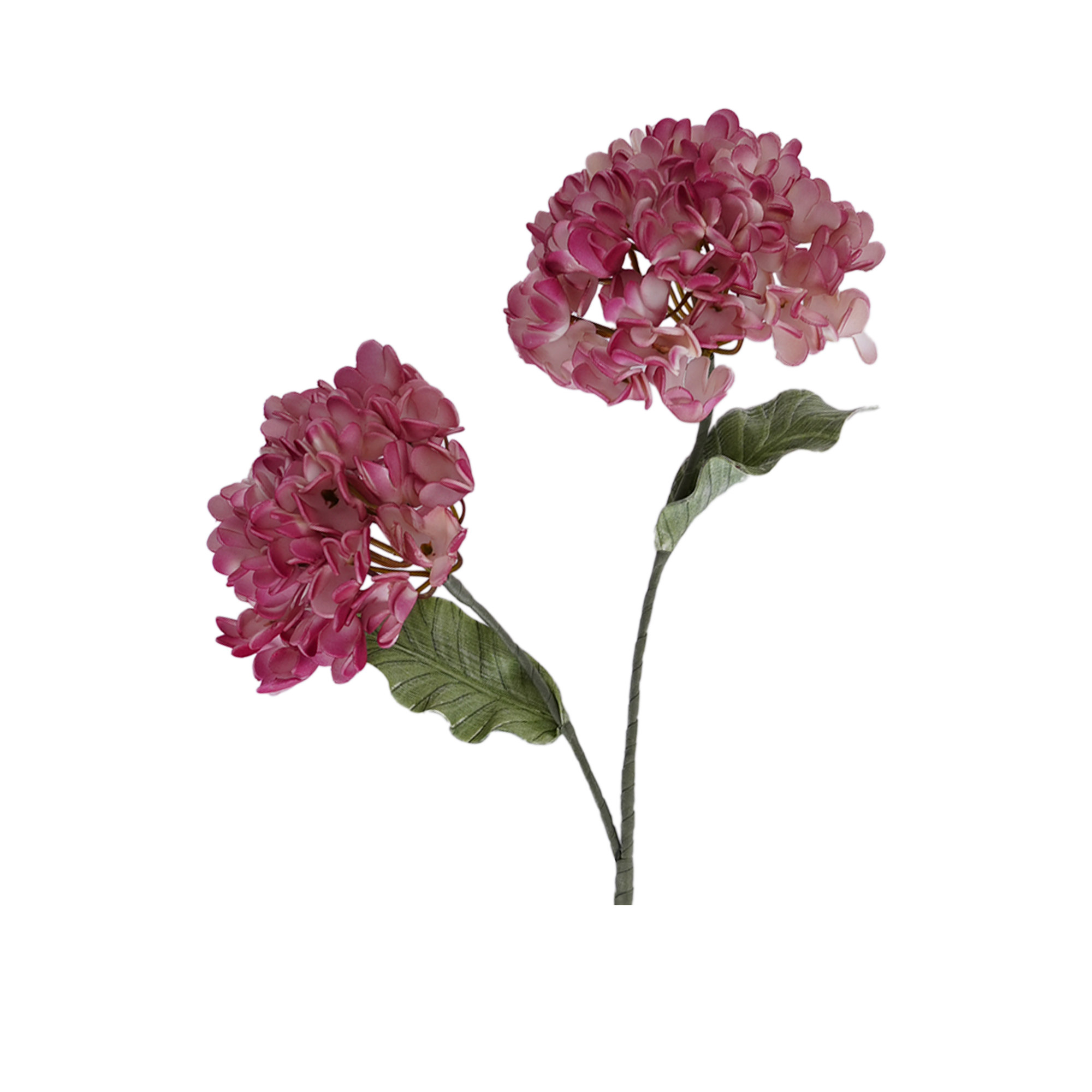 RI013607_1