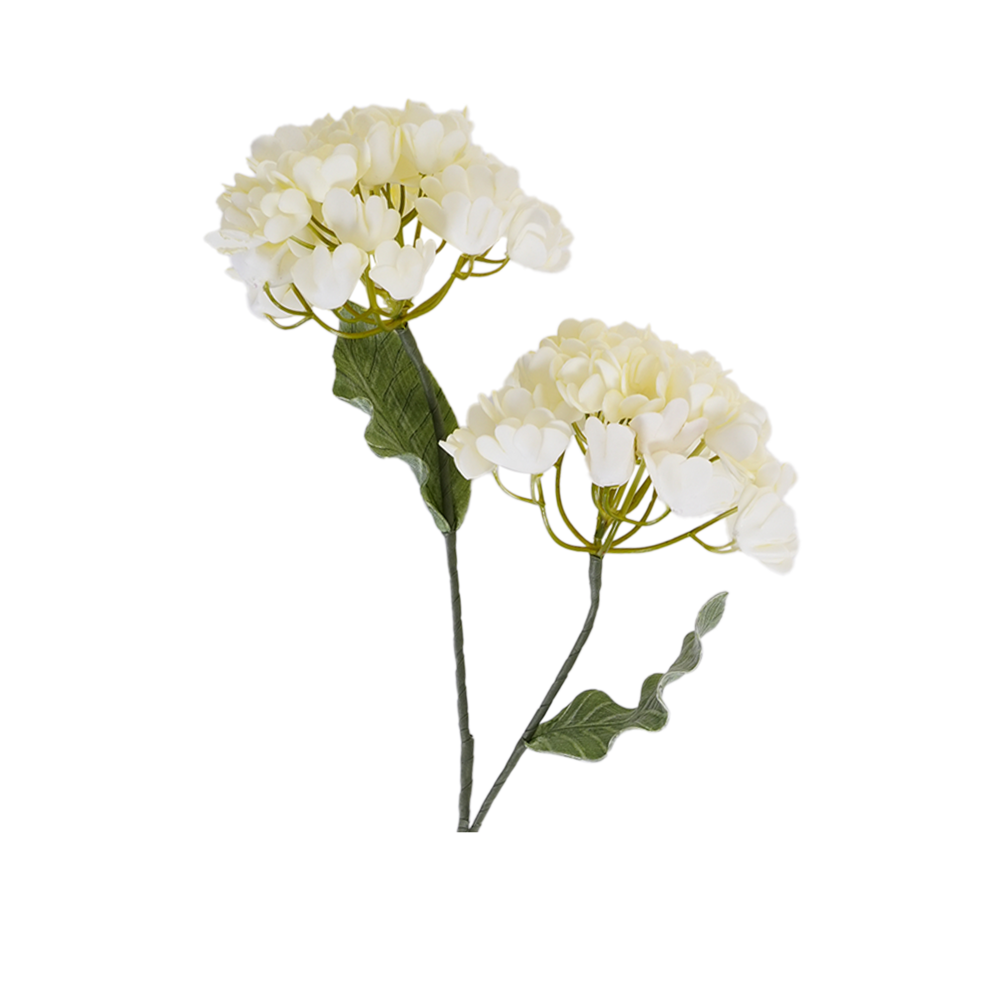 RI013608_1