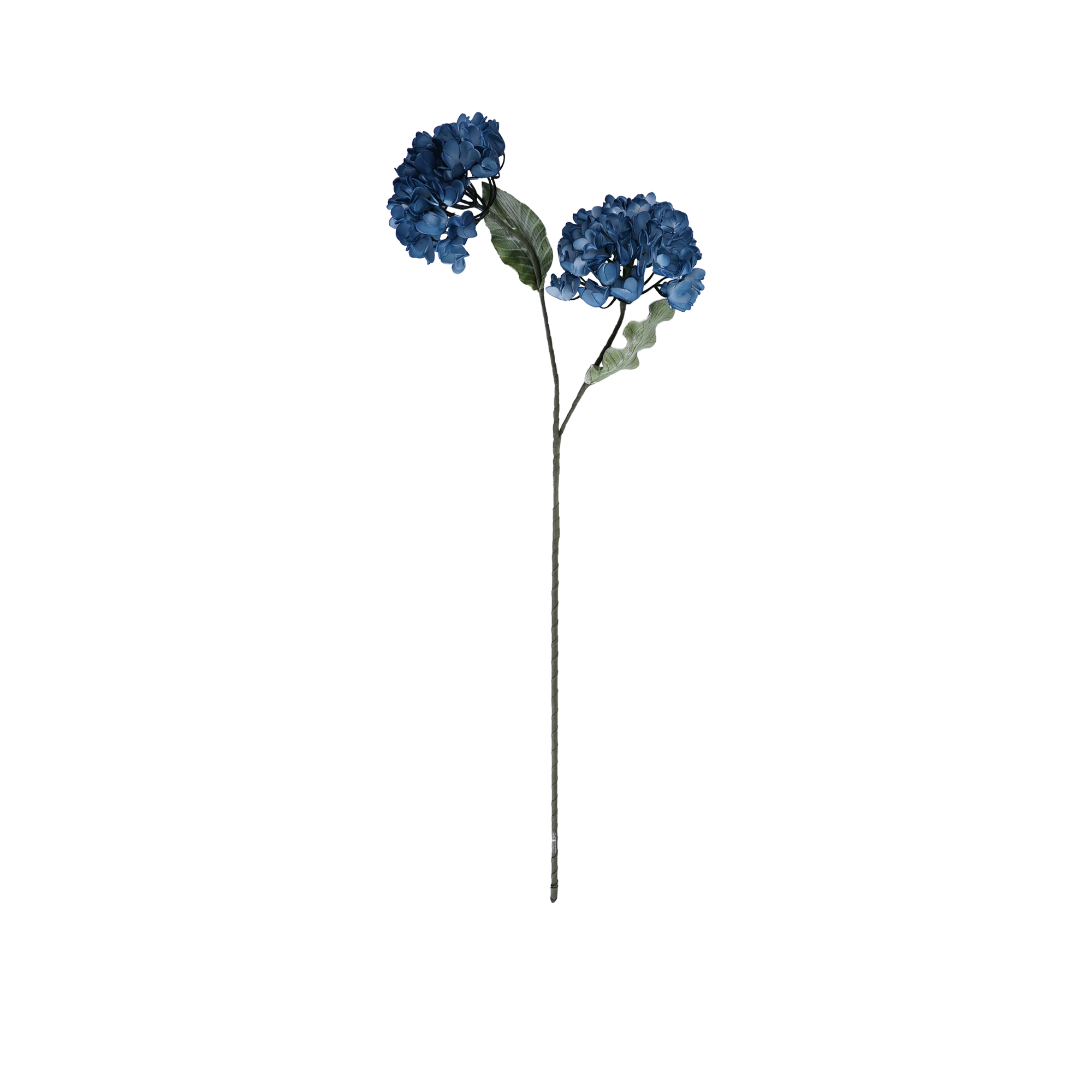 RI013610