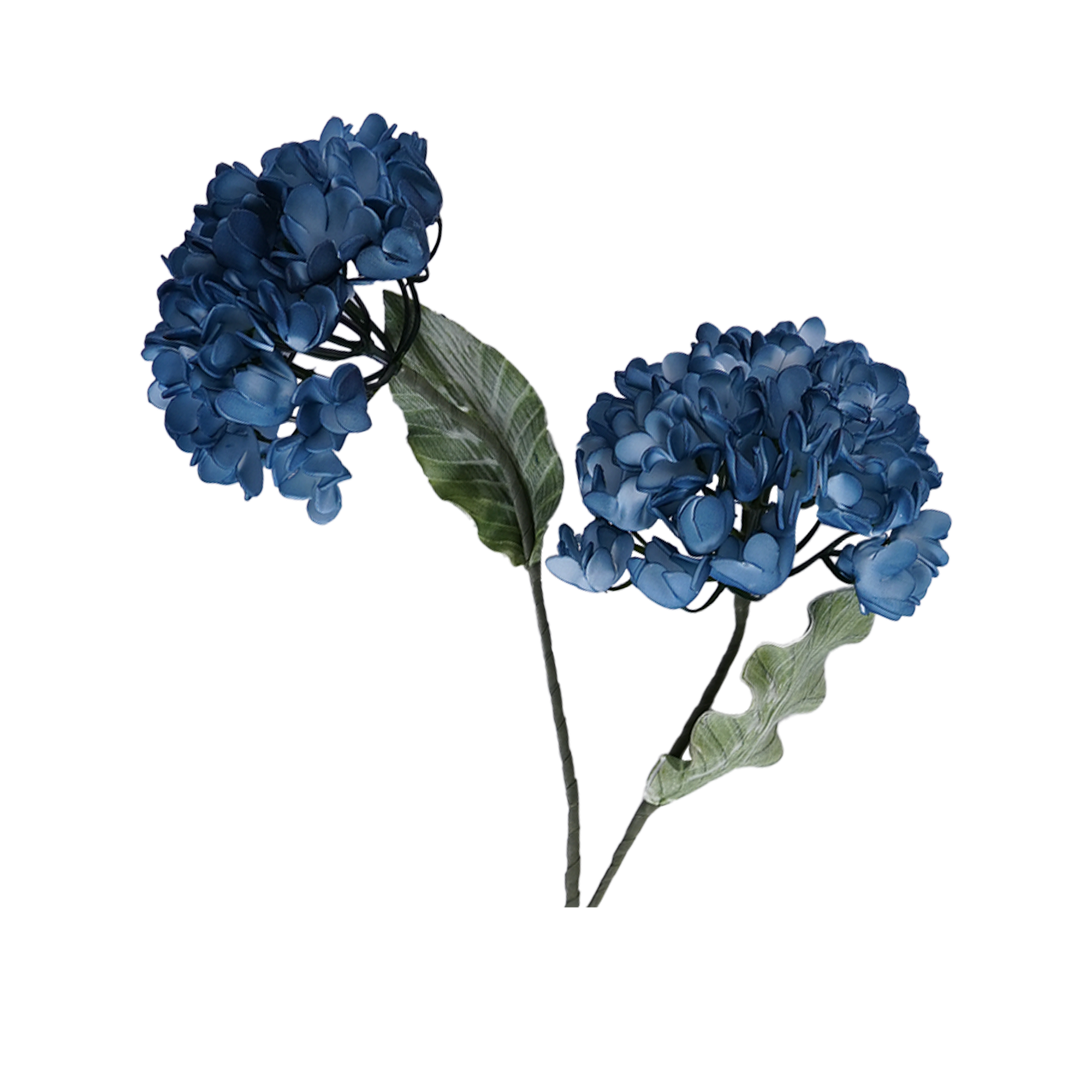 RI013610_1