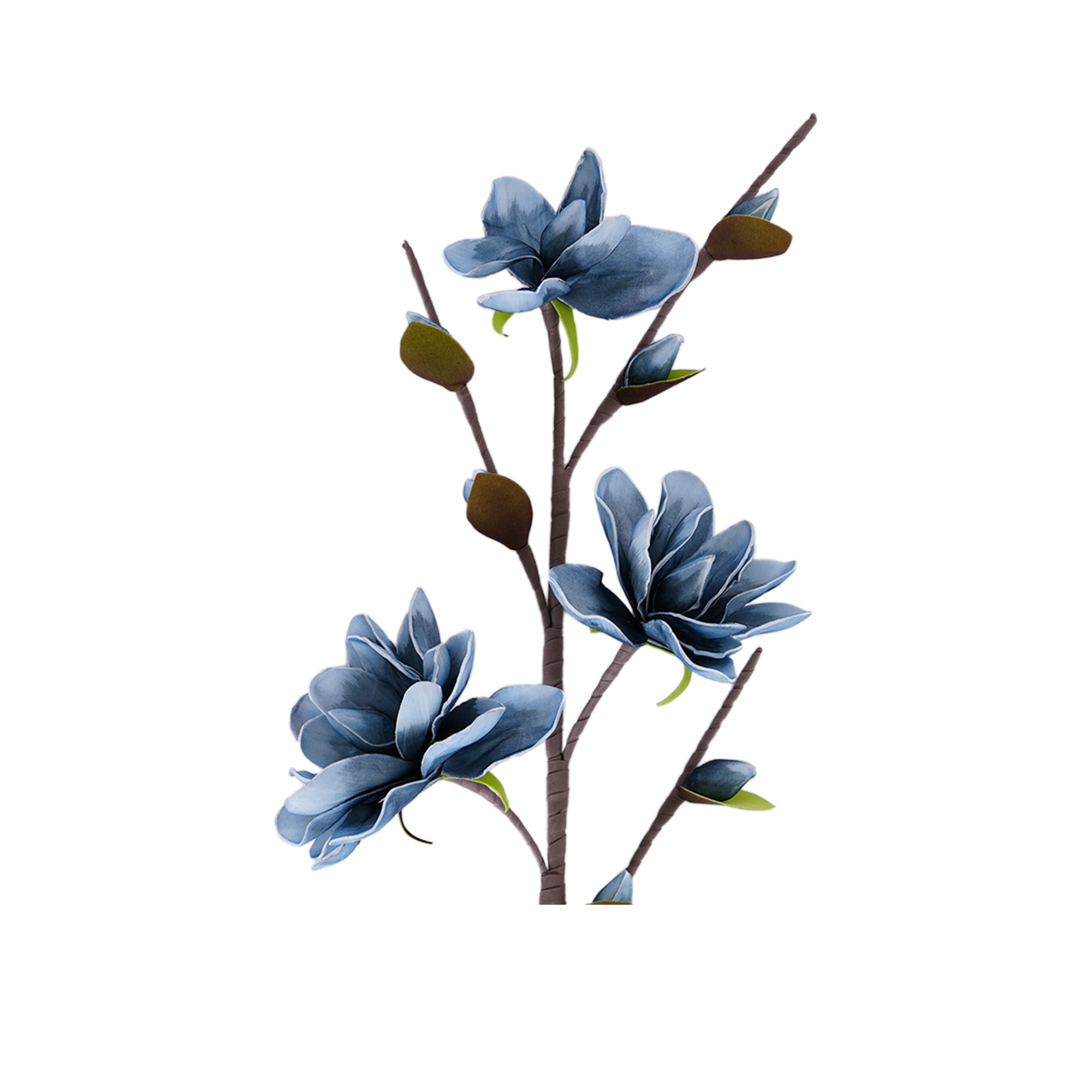 Yulan Magnolia Spray