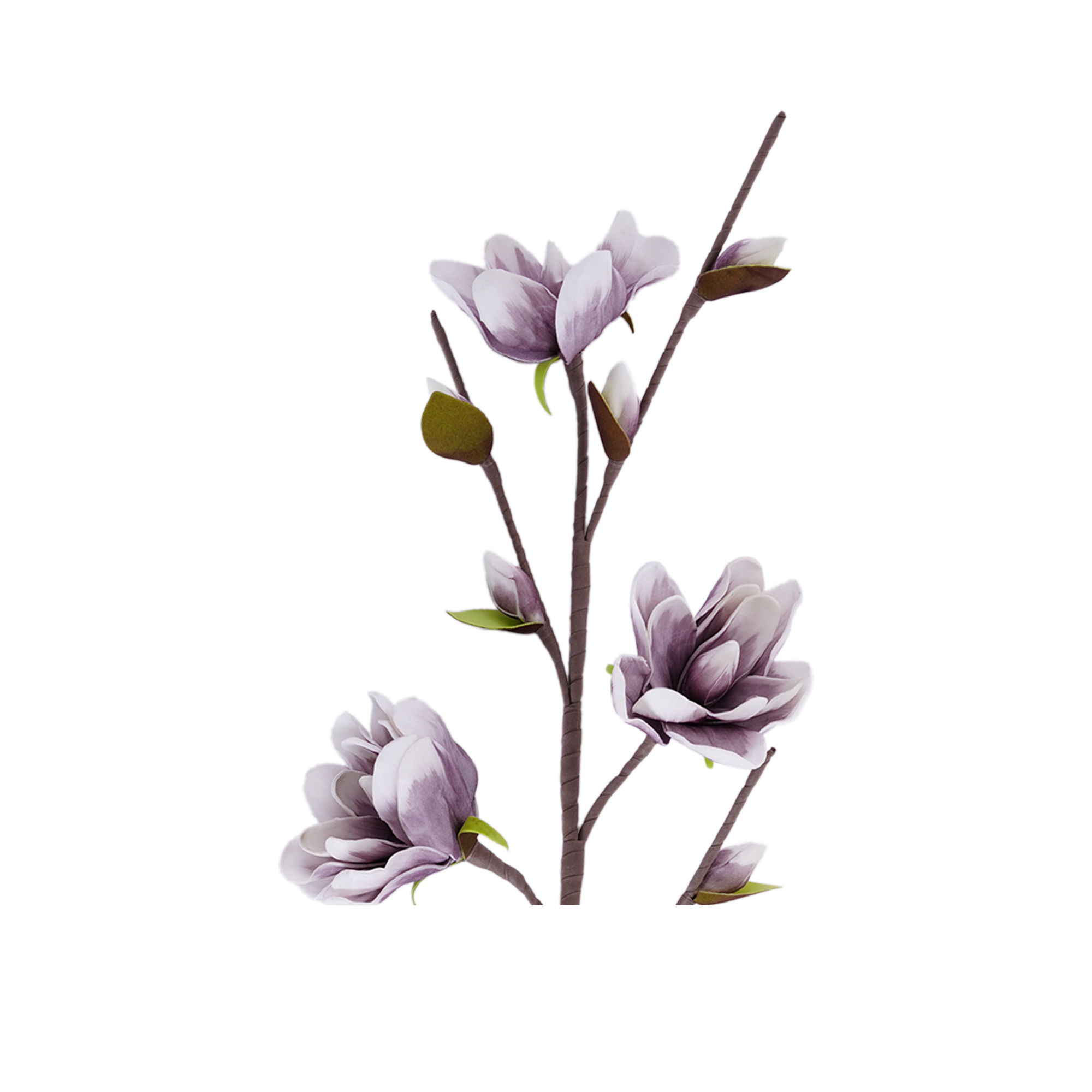 Yulan Magnolia Spray