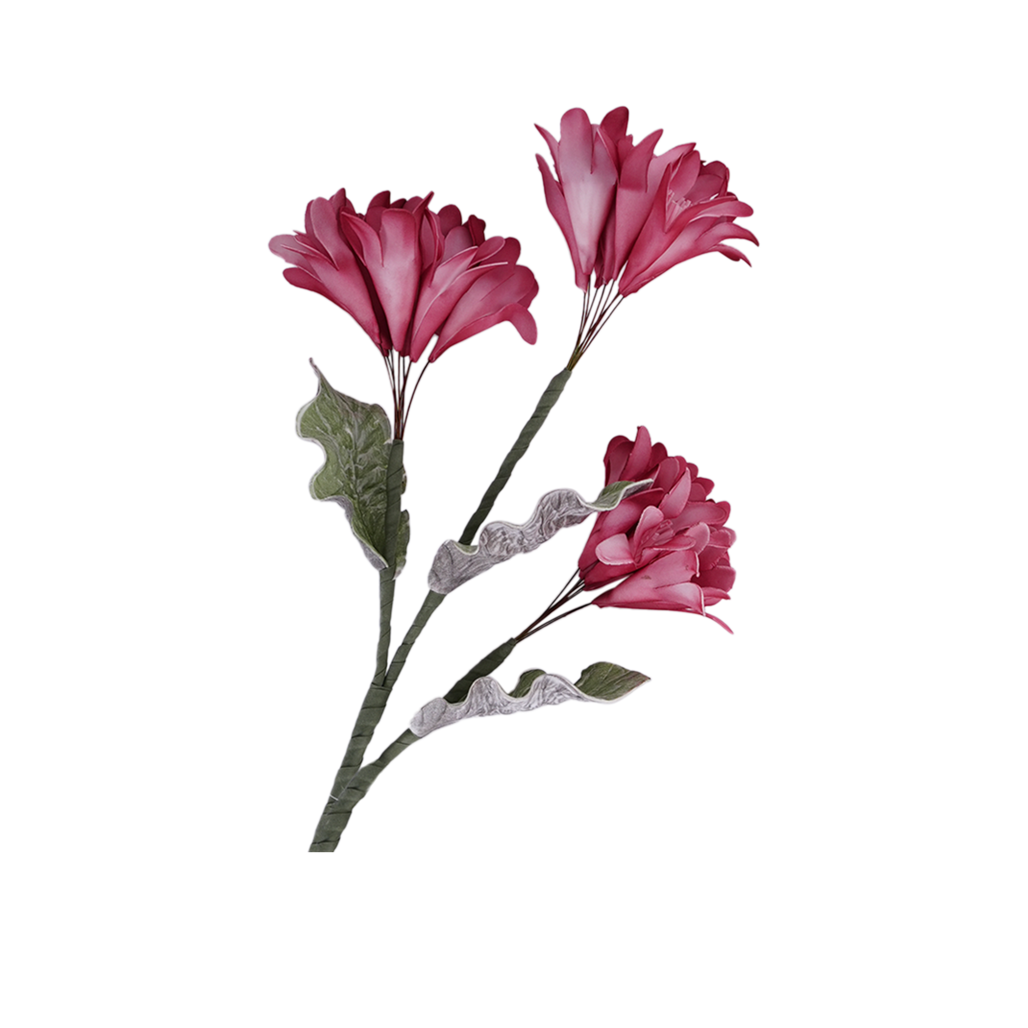 Fingered Citron Spray