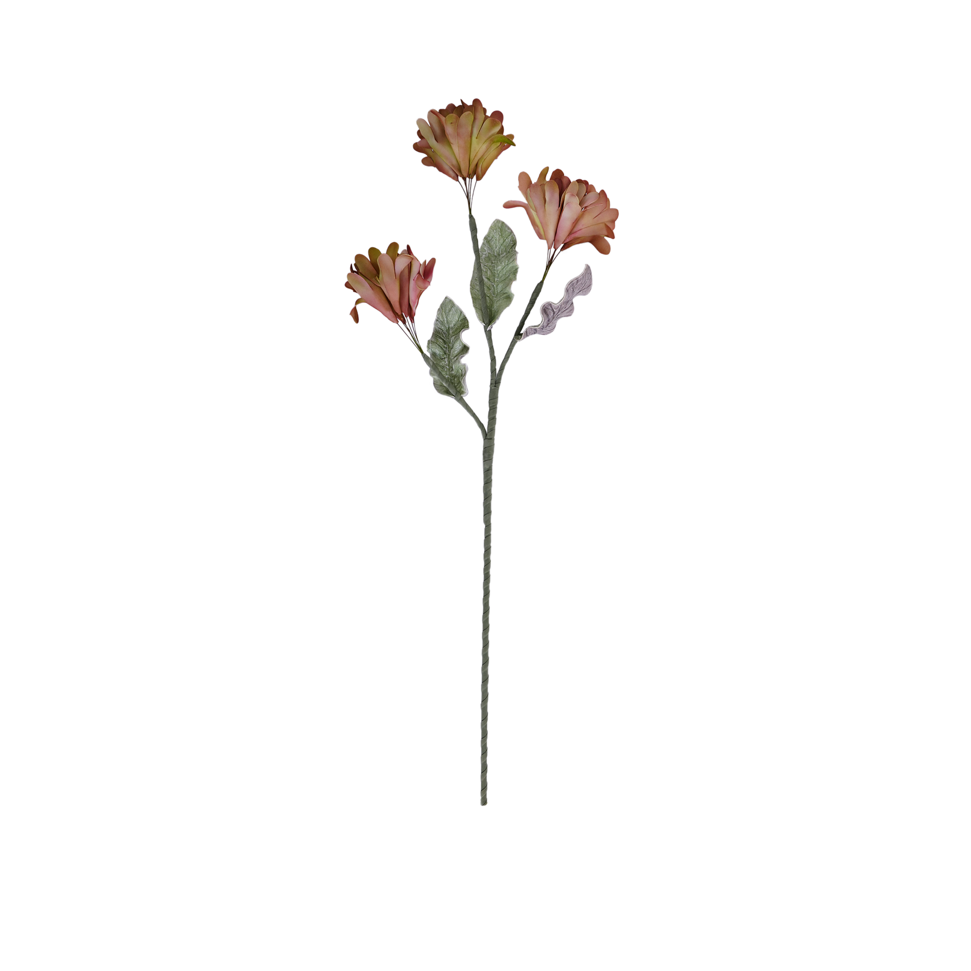 RI013617