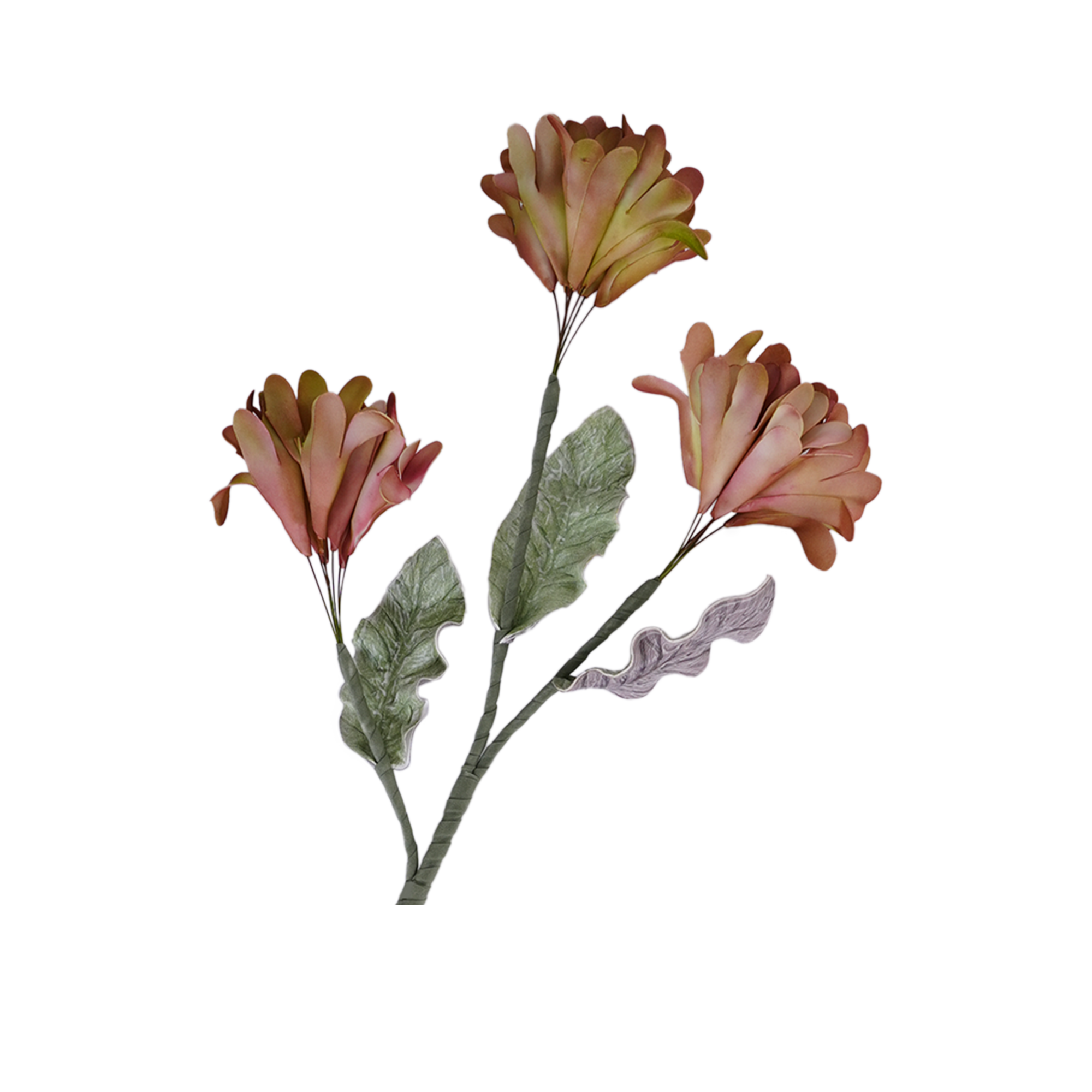 Fingered Citron Spray