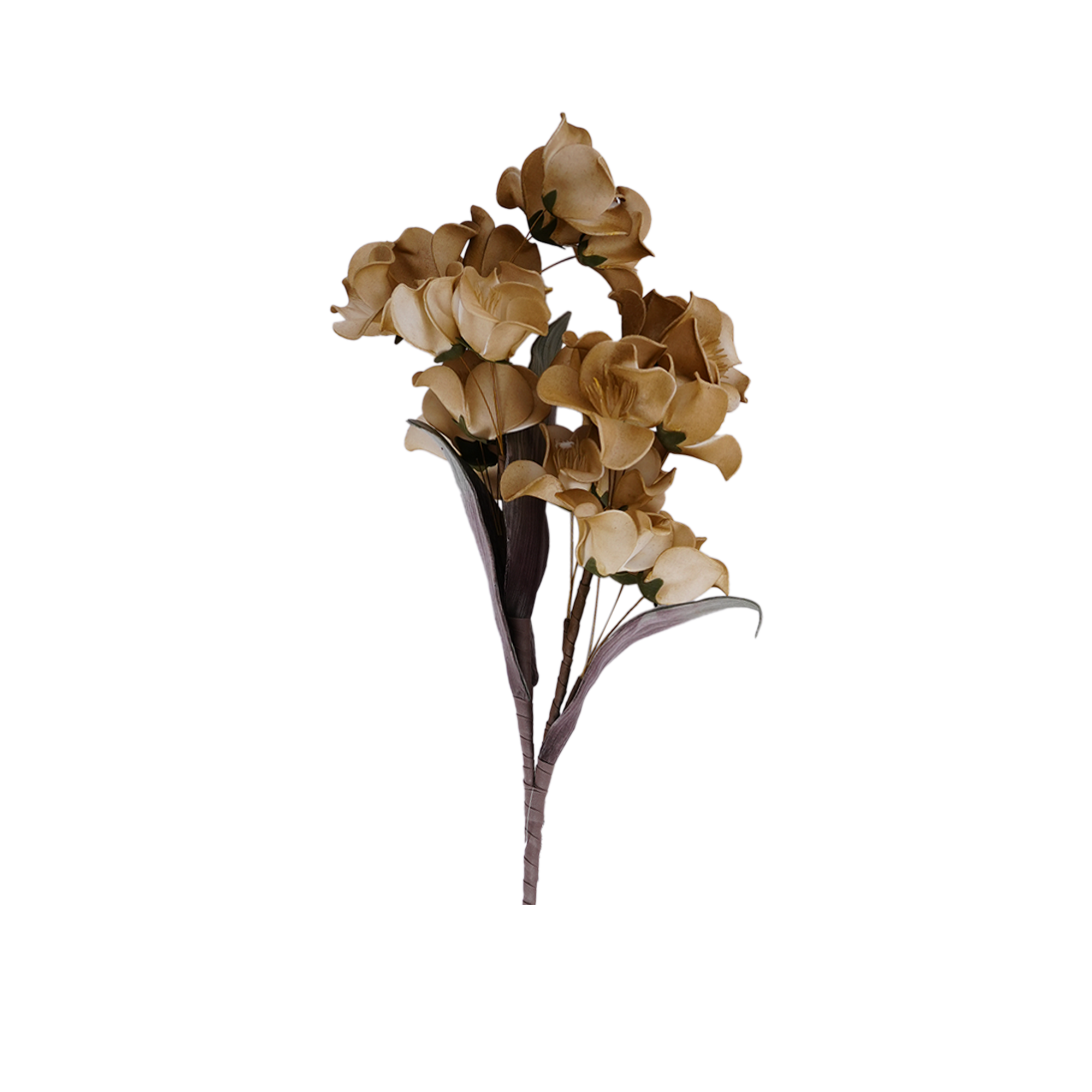 RI013618_1