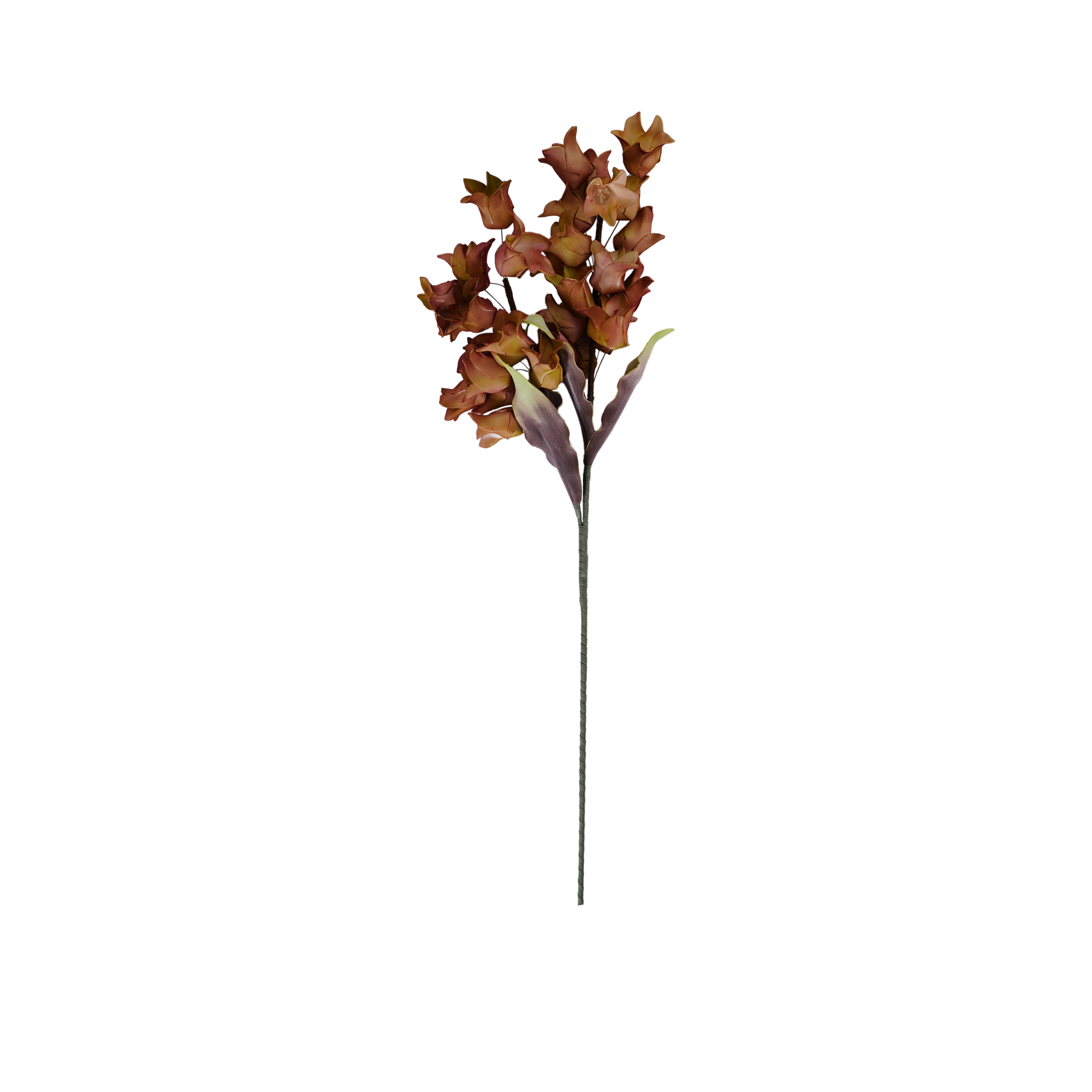 RI013619