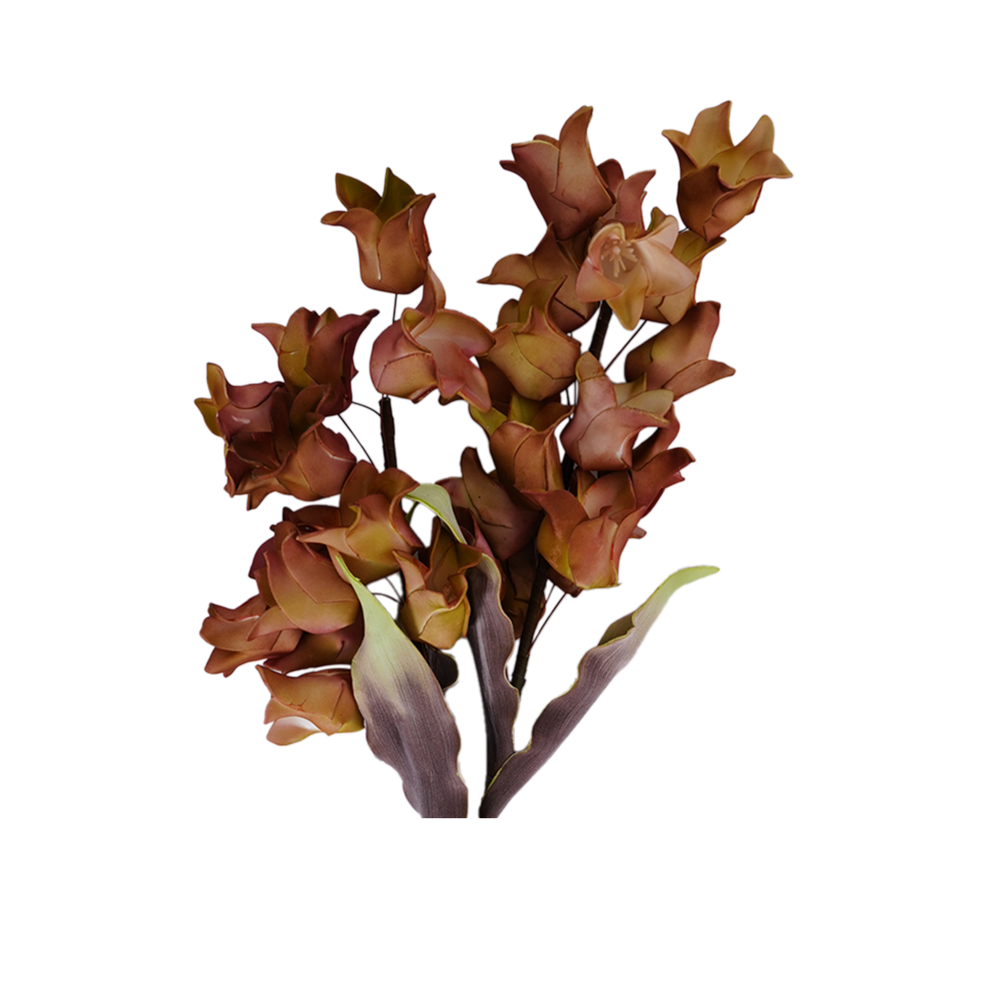 RI013619_1