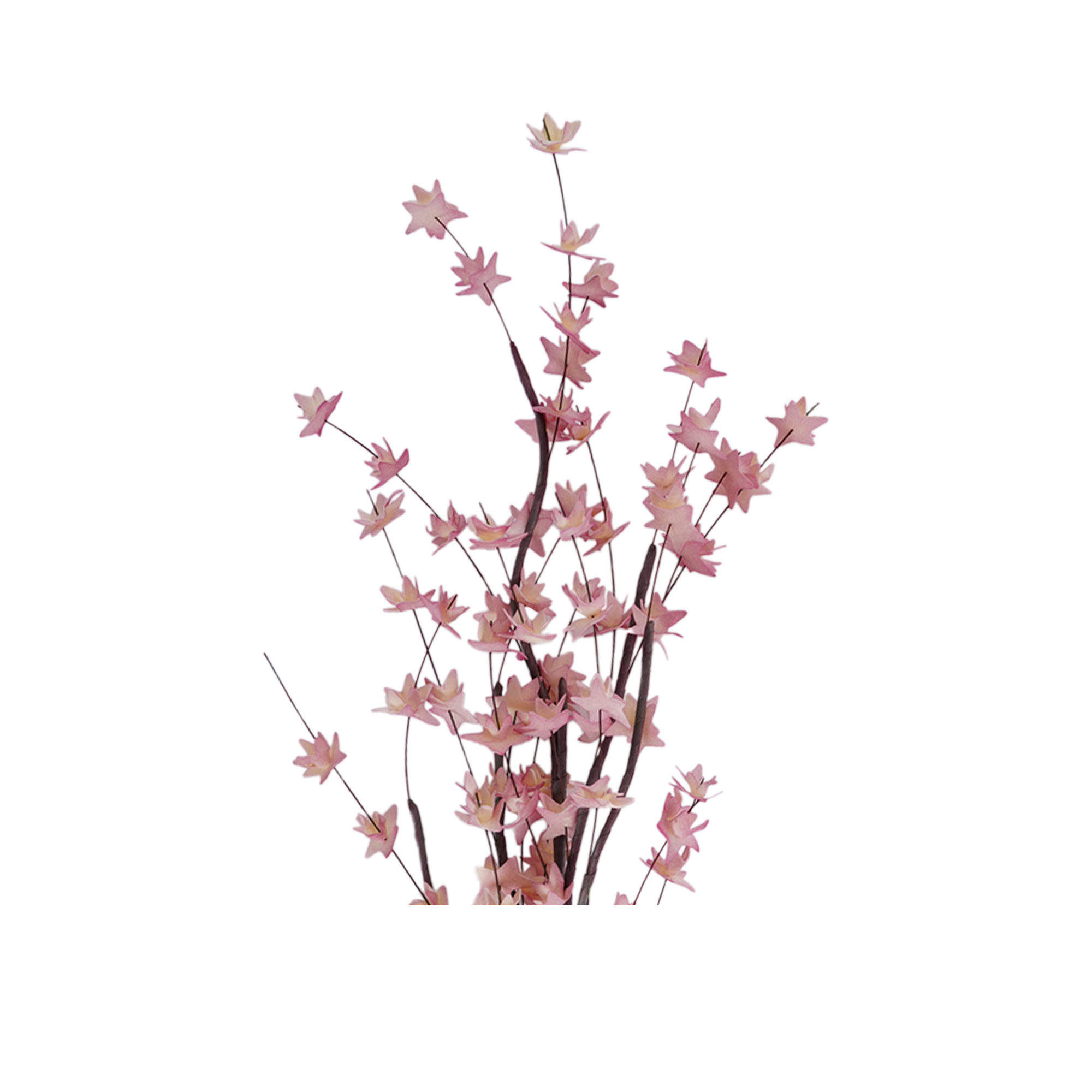 RI013623_1