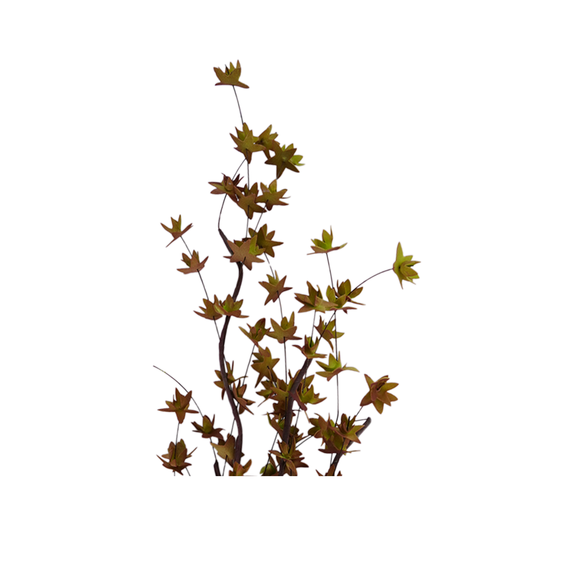 RI013624_1
