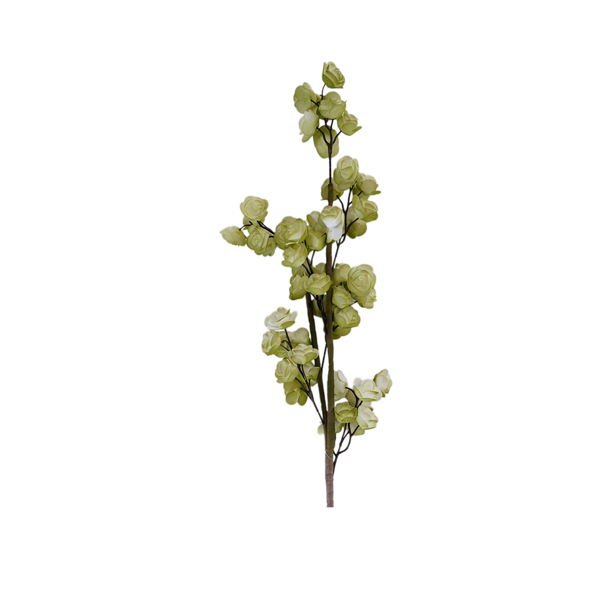 RI013625_1