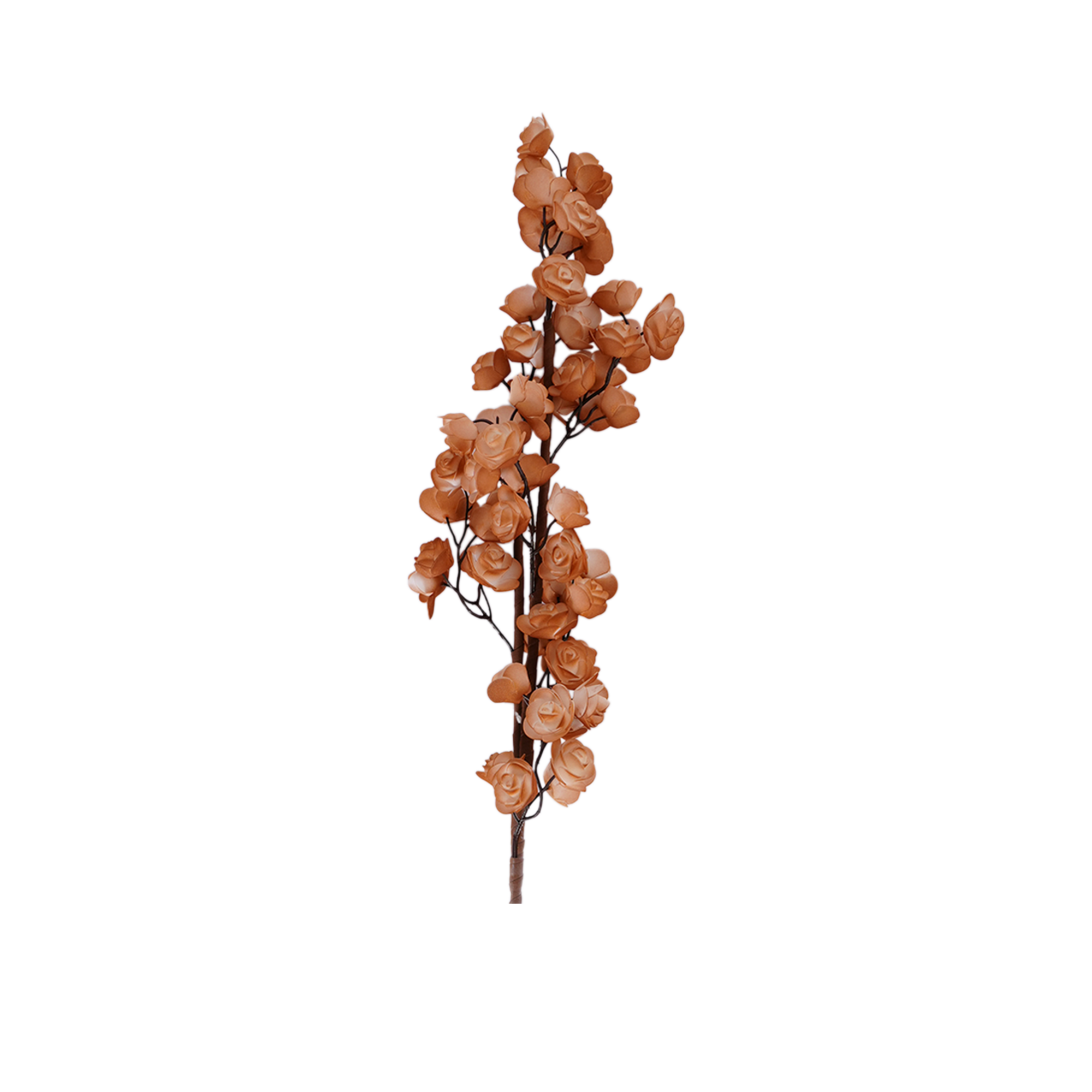 RI013627_1