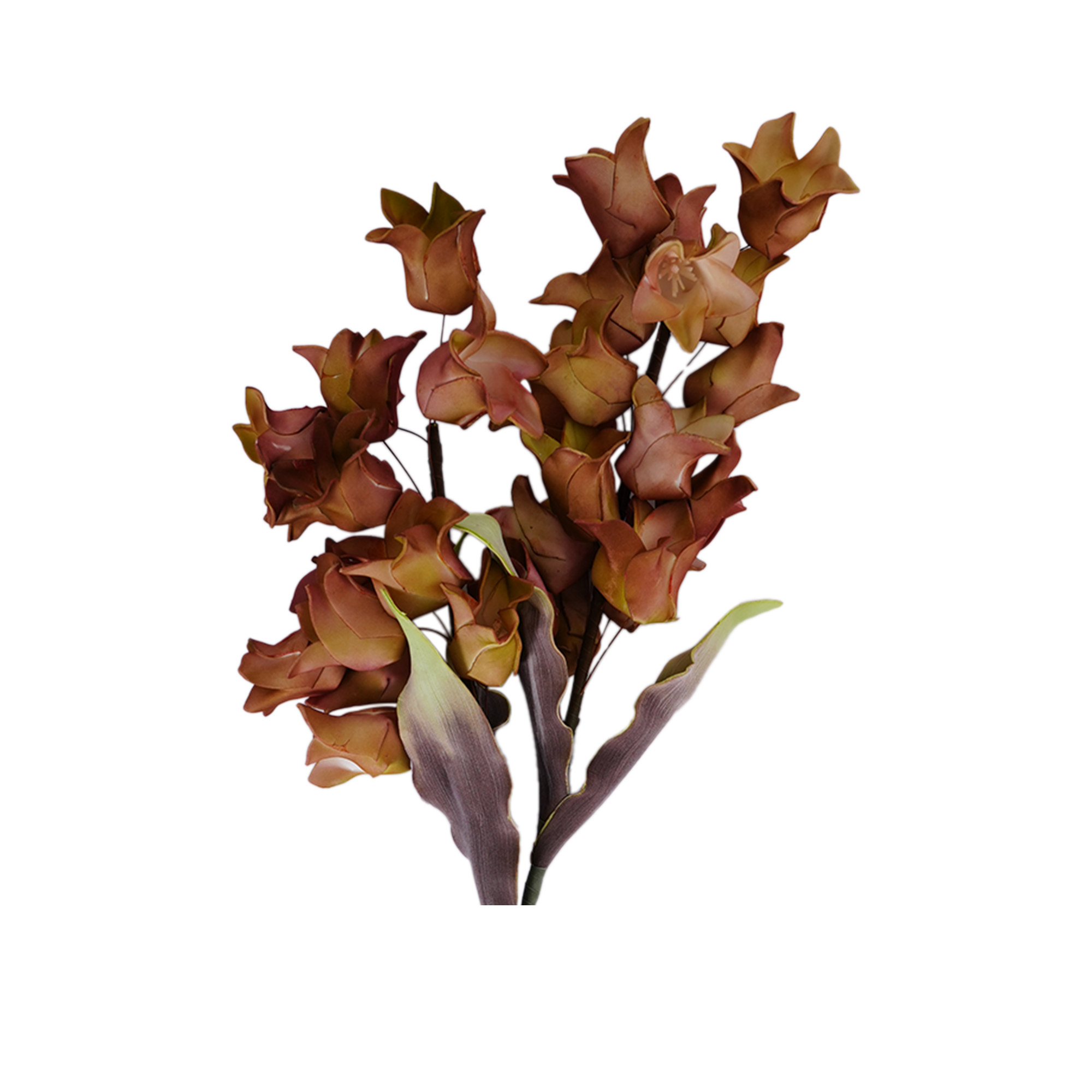 RI013628_1