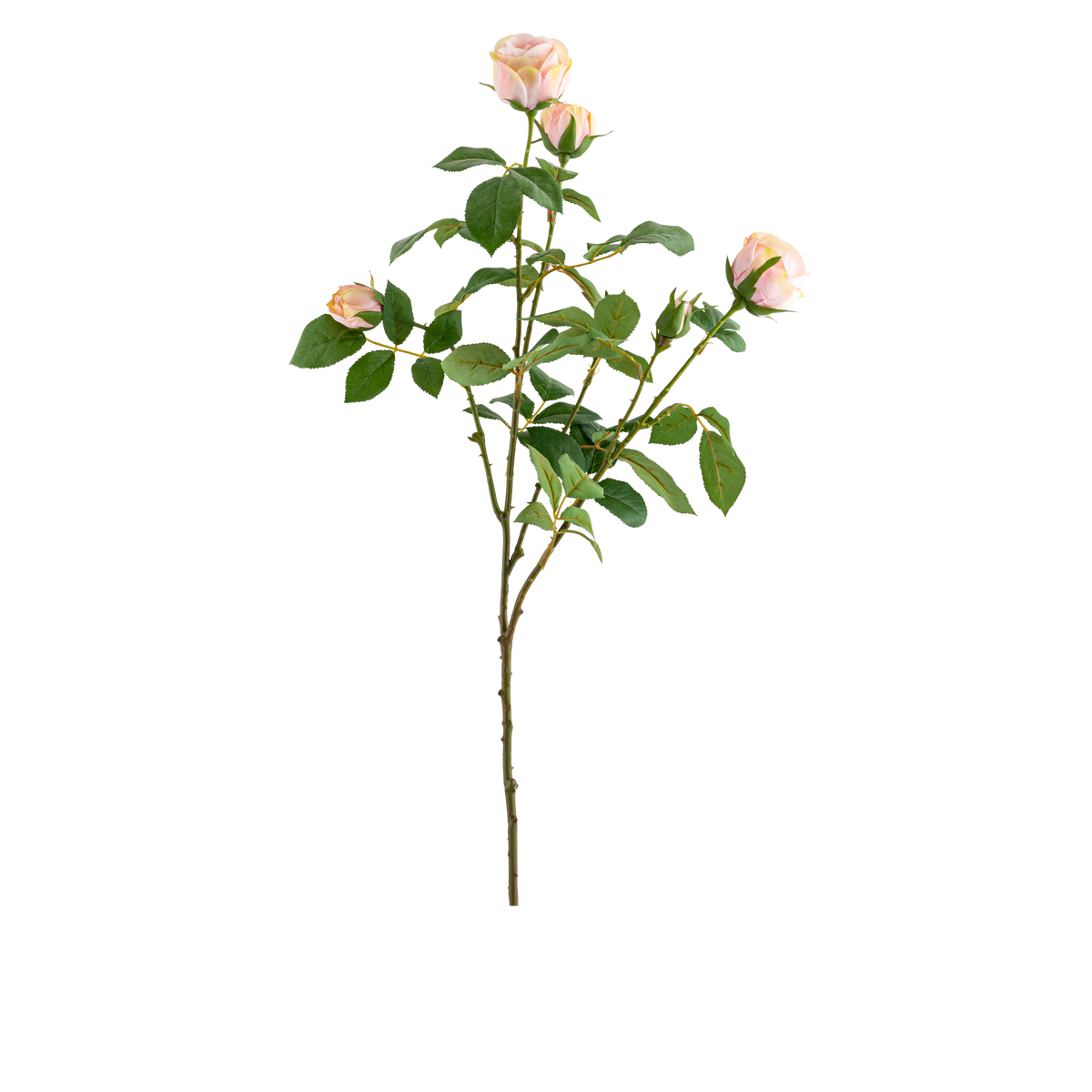 Rose Stem L69 cm