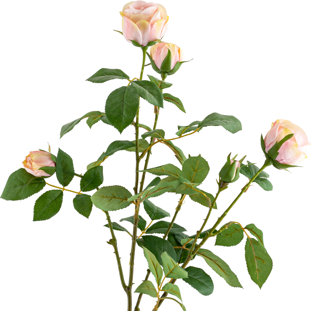 Rose Stem L69 cm