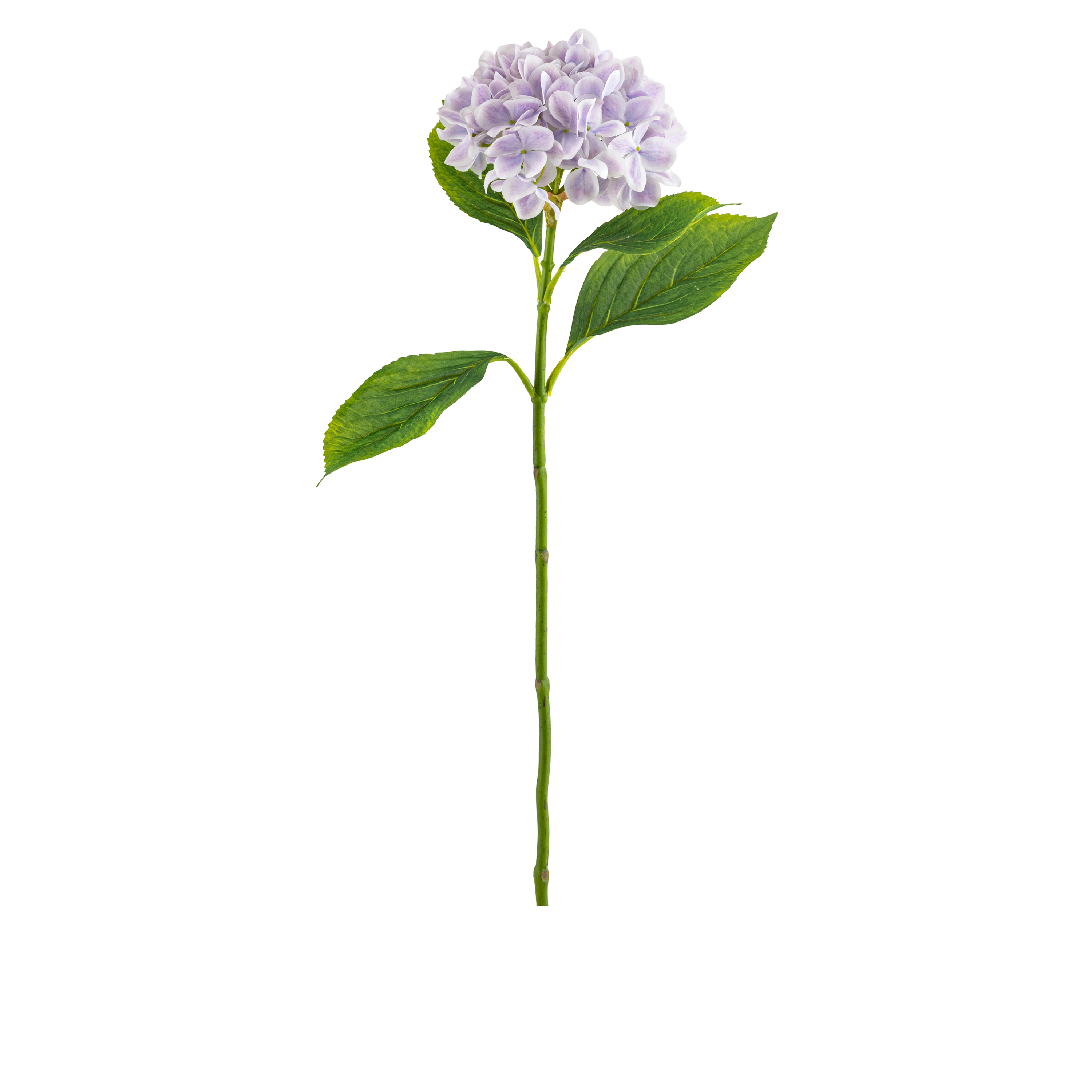 Hydrangea Stem L67 cm