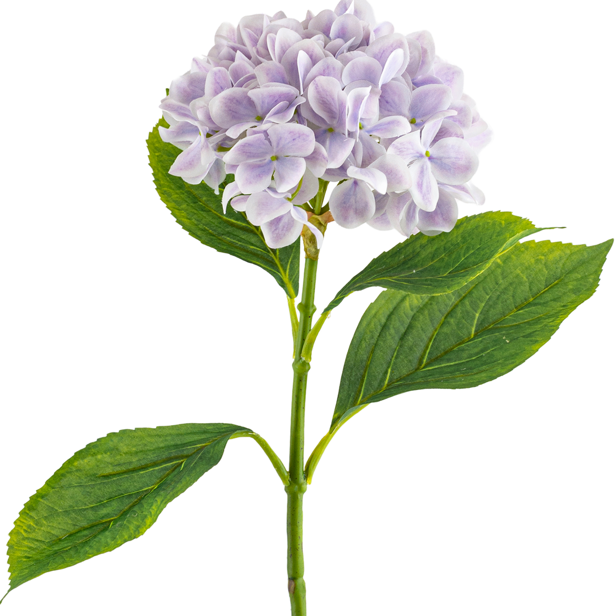 Hydrangea Stem L67 cm