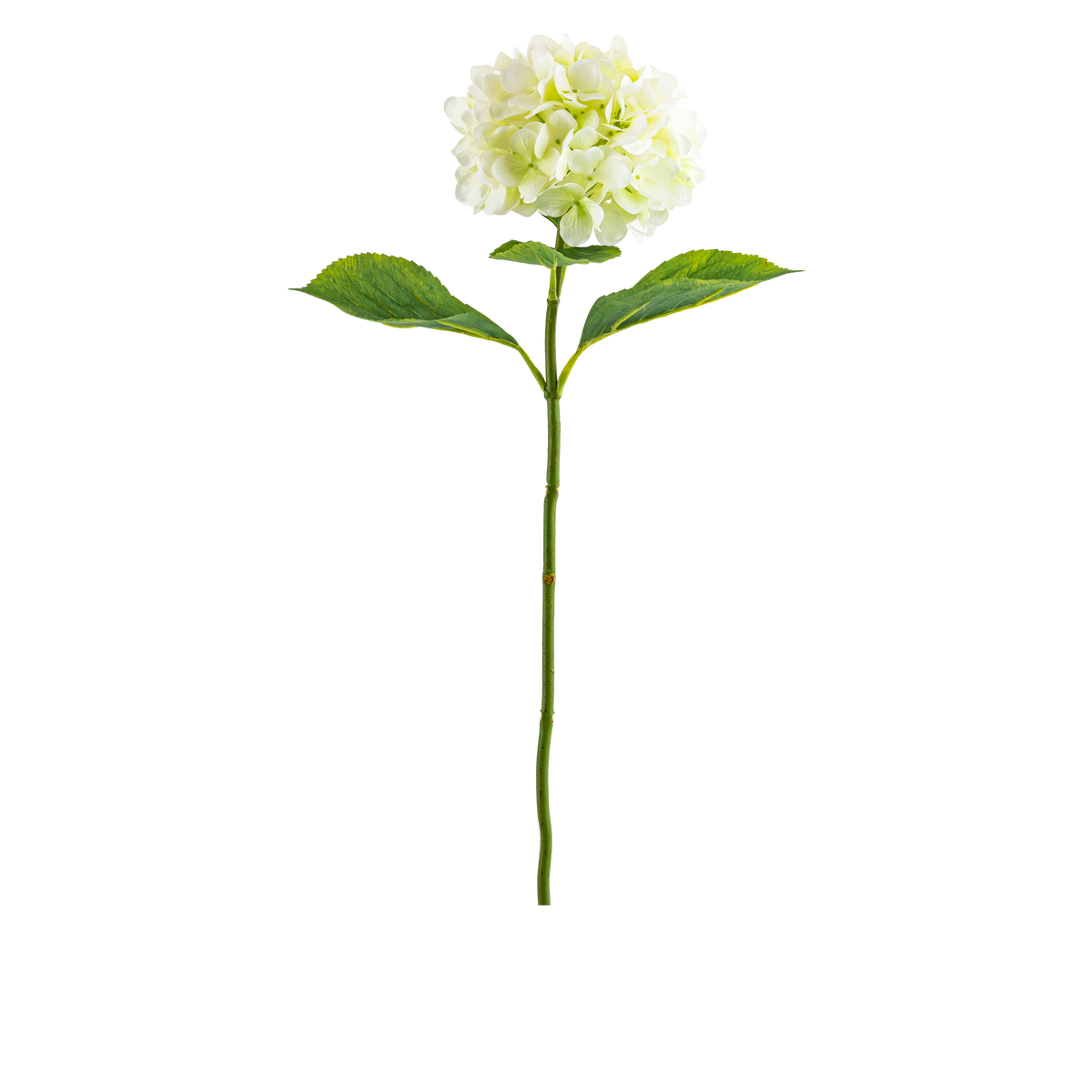 Hydrangea Stem L67 cm