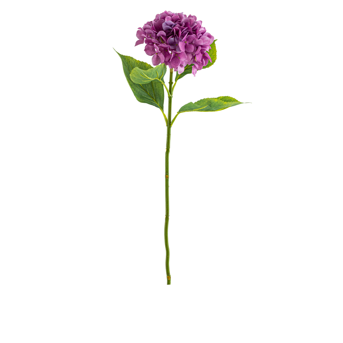 Hydrangea Stem L67 cm
