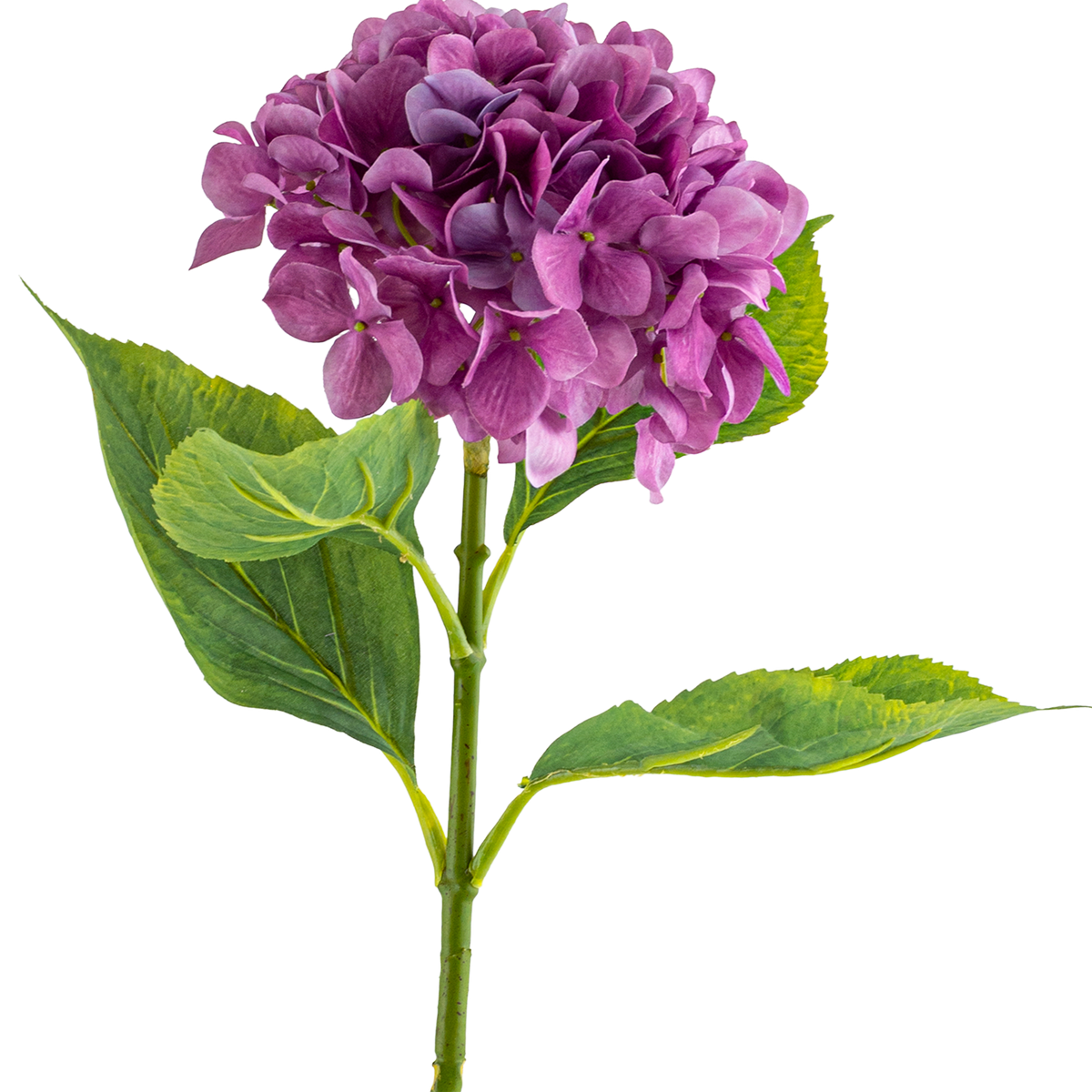 Hydrangea Stem L67 cm
