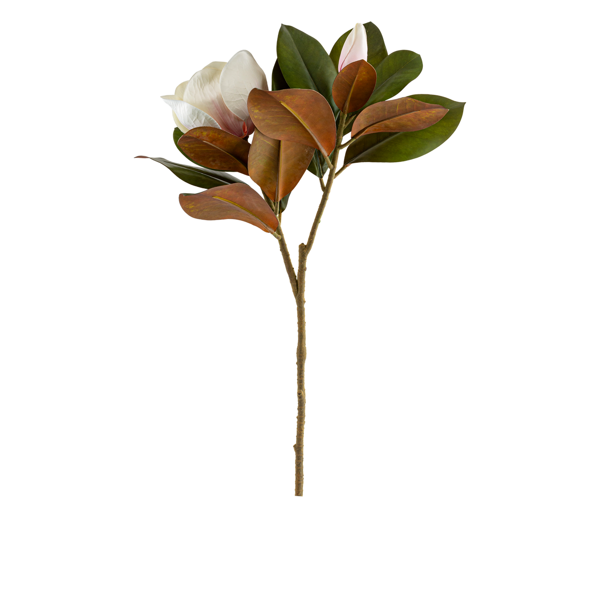 Magnolia Heads Branch L76 cm