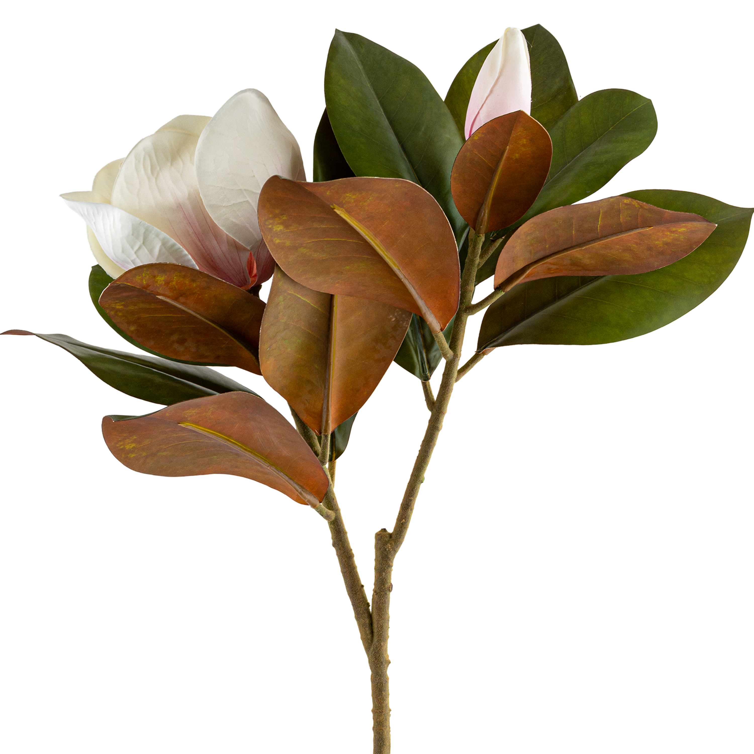 Magnolia Heads Branch L76 cm